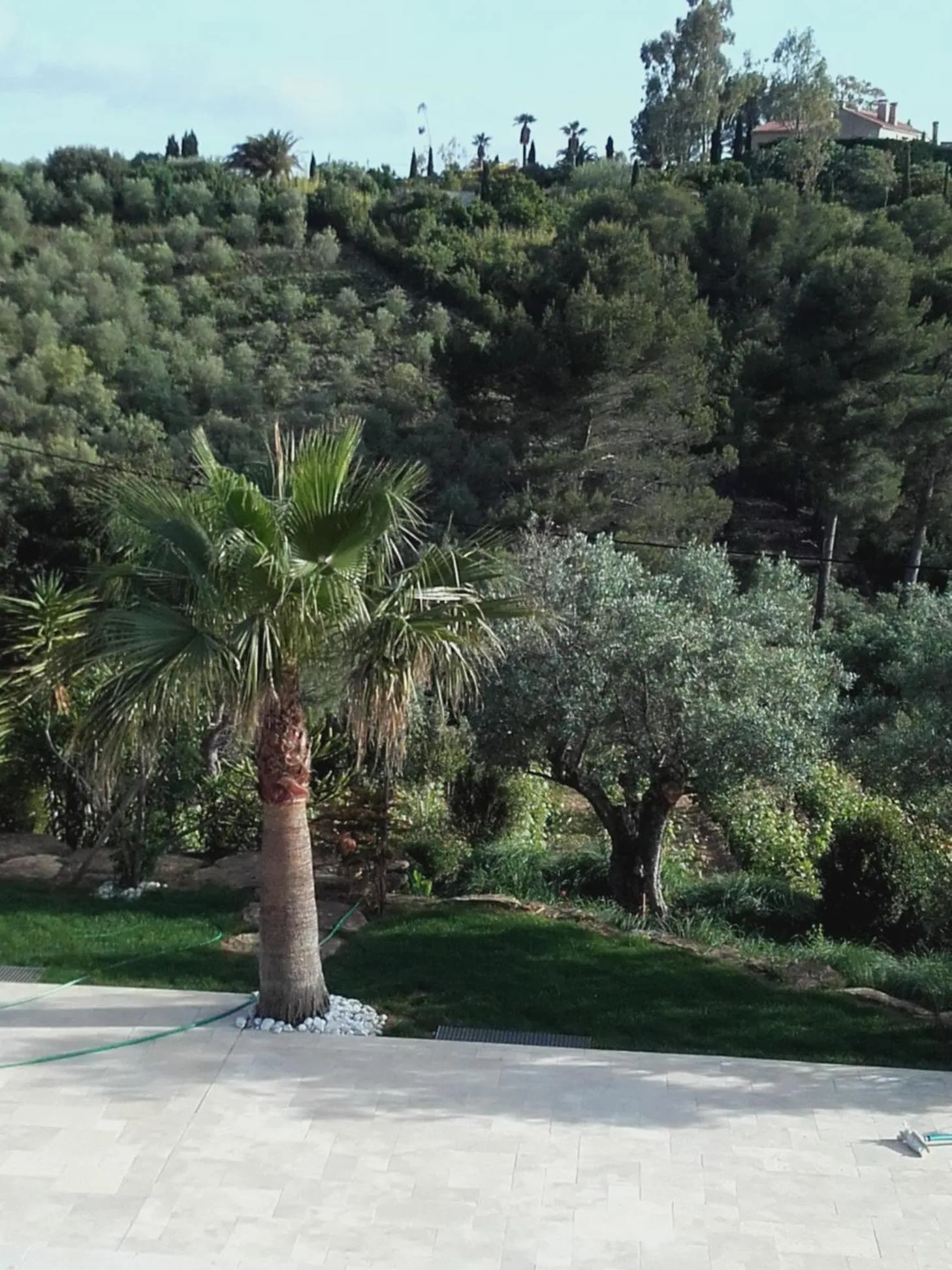 Garden view in La Bastide de l'Oliveraie