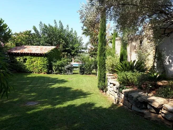 Garden in La Bastide de l'Oliveraie