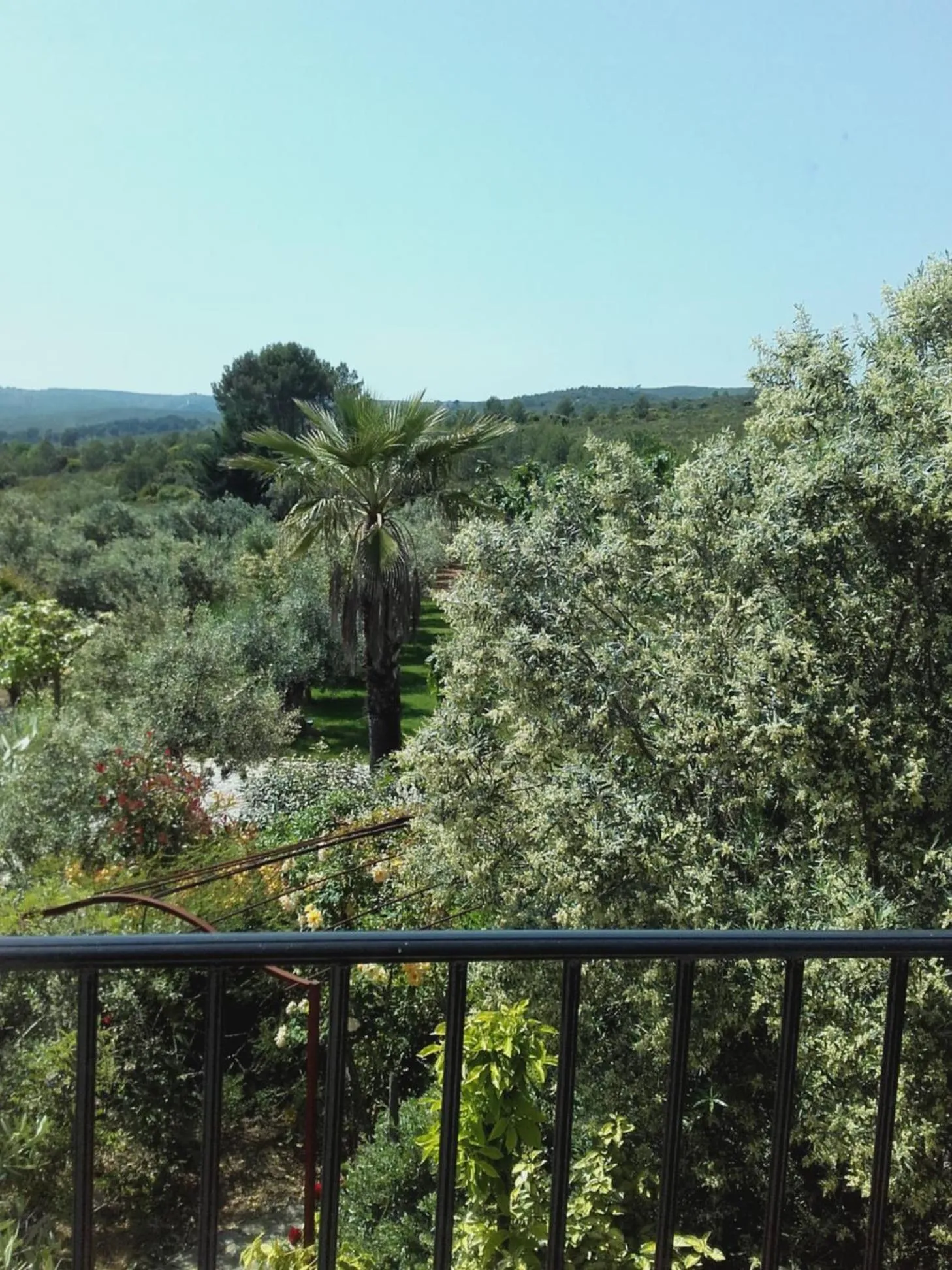 View (from property/room) in La Bastide de l'Oliveraie