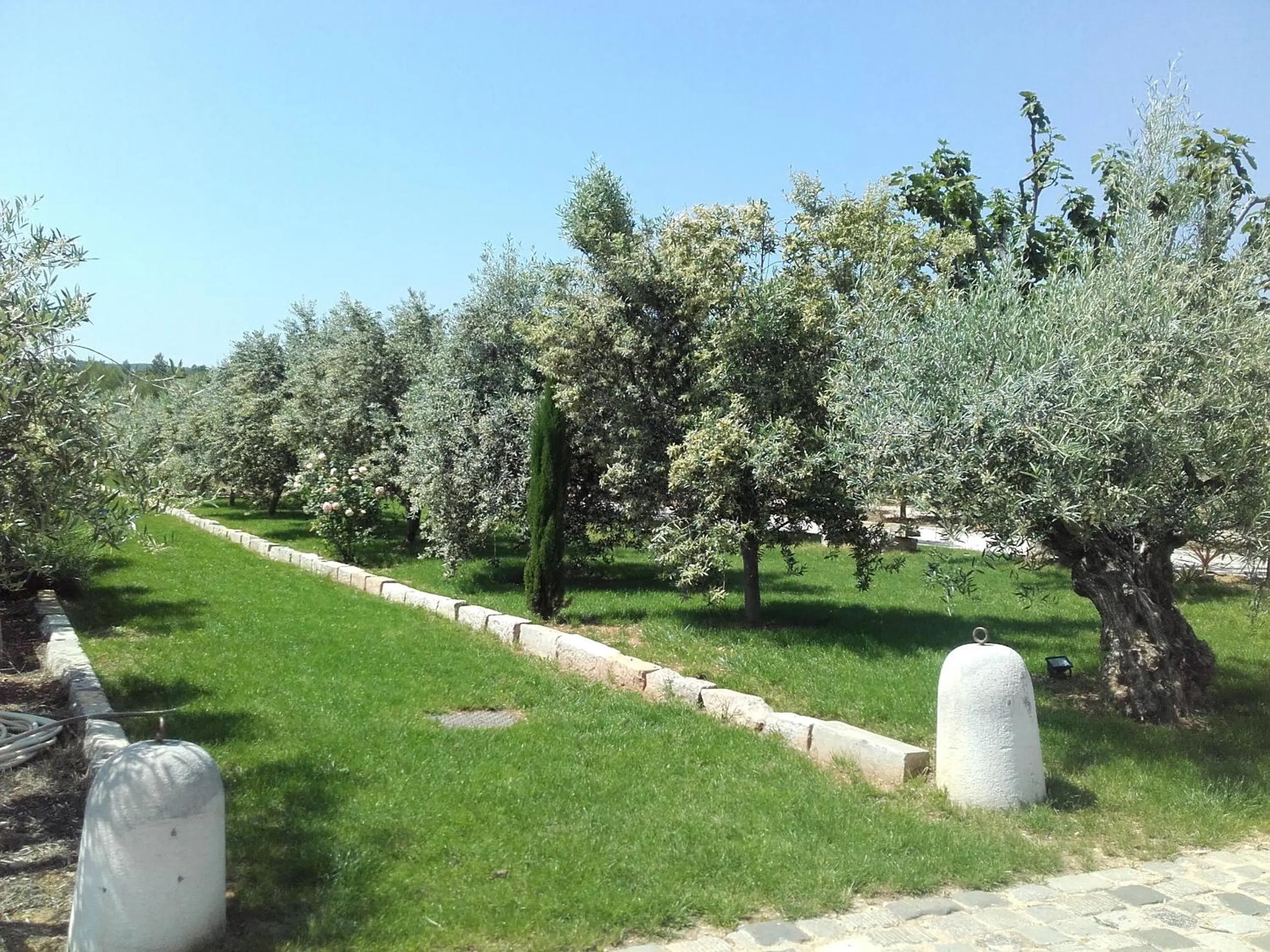 Garden in La Bastide de l'Oliveraie