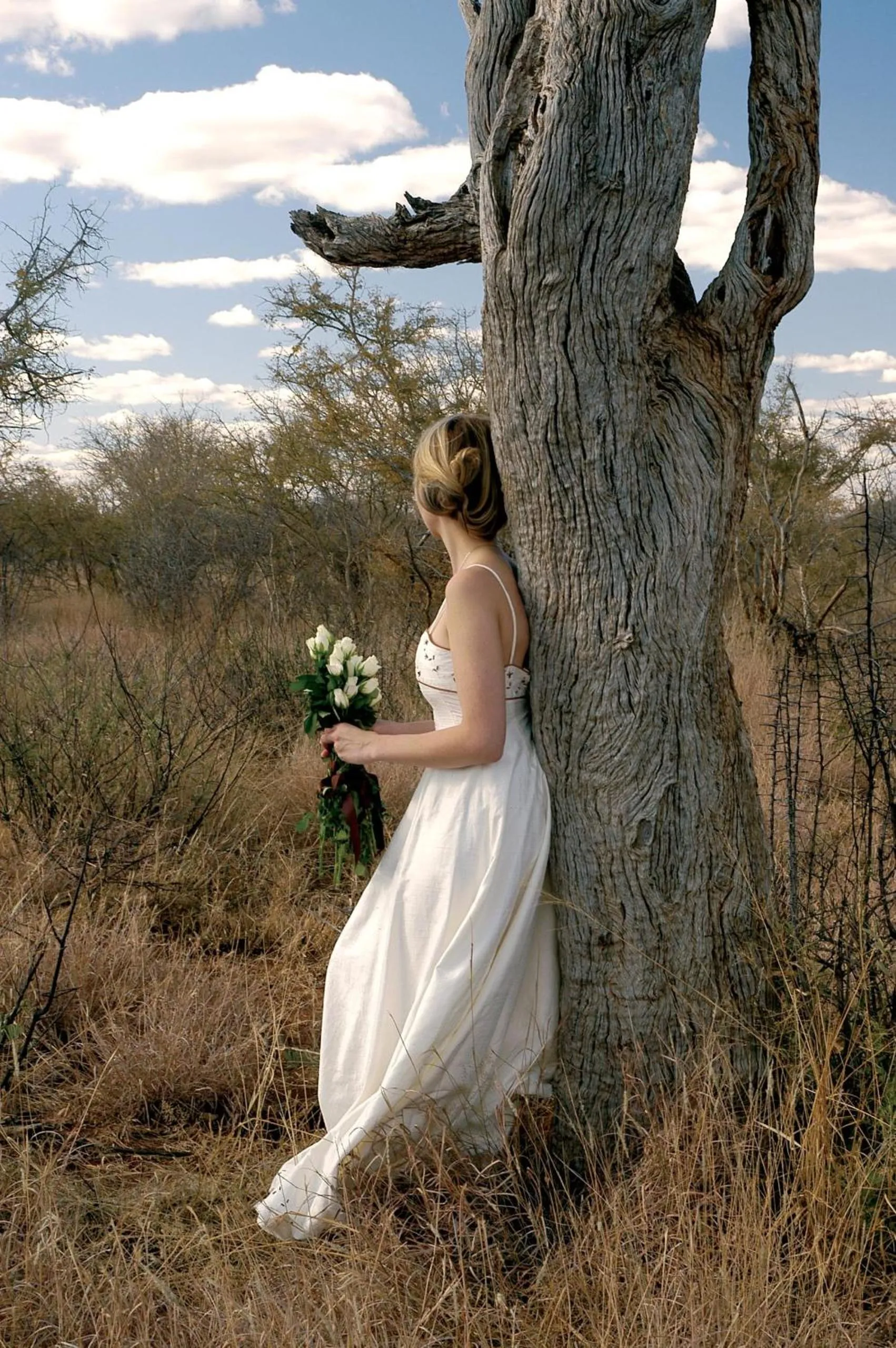 Madikwe Hills Private Game Lodge