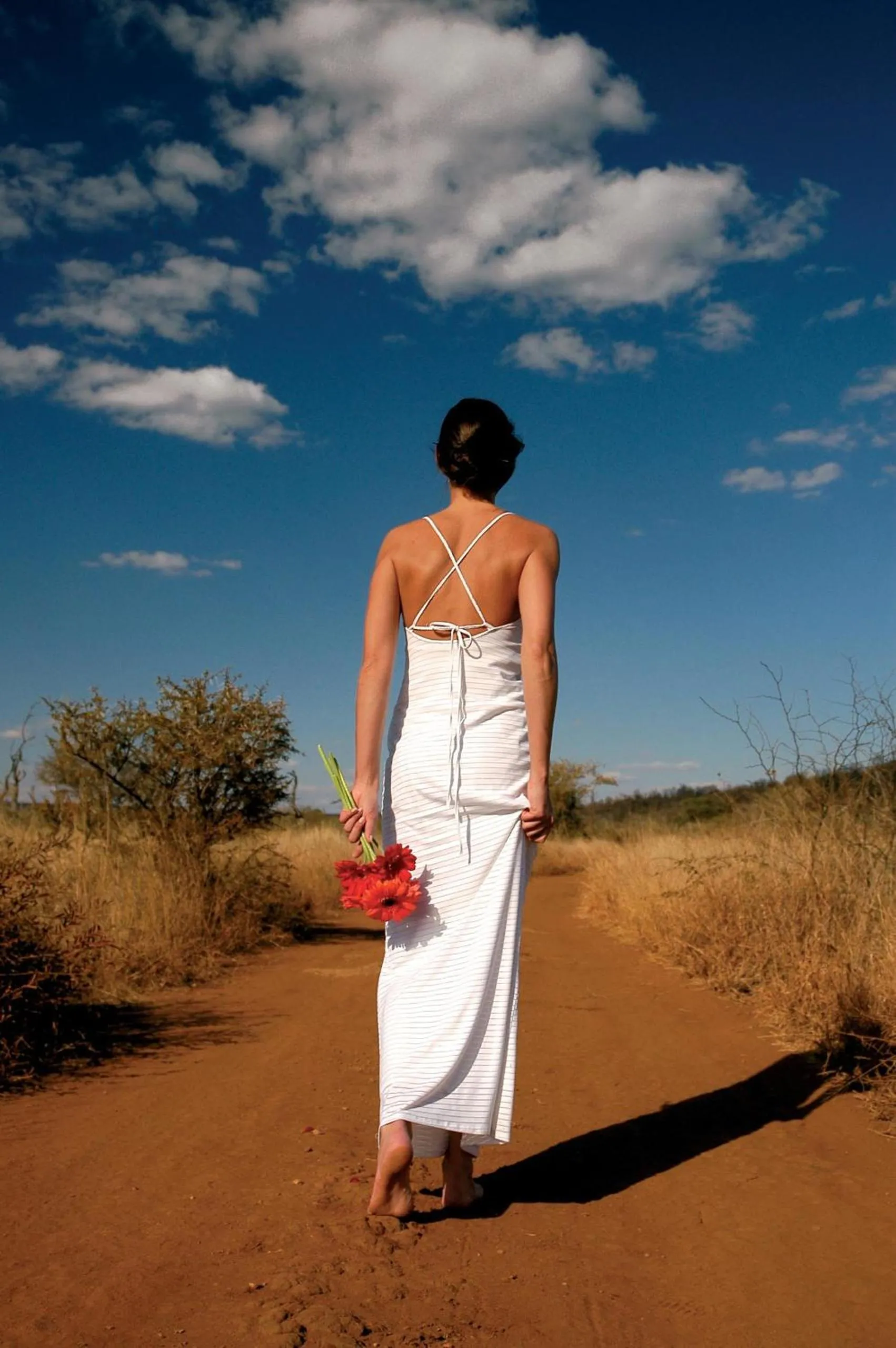 Madikwe Hills Private Game Lodge