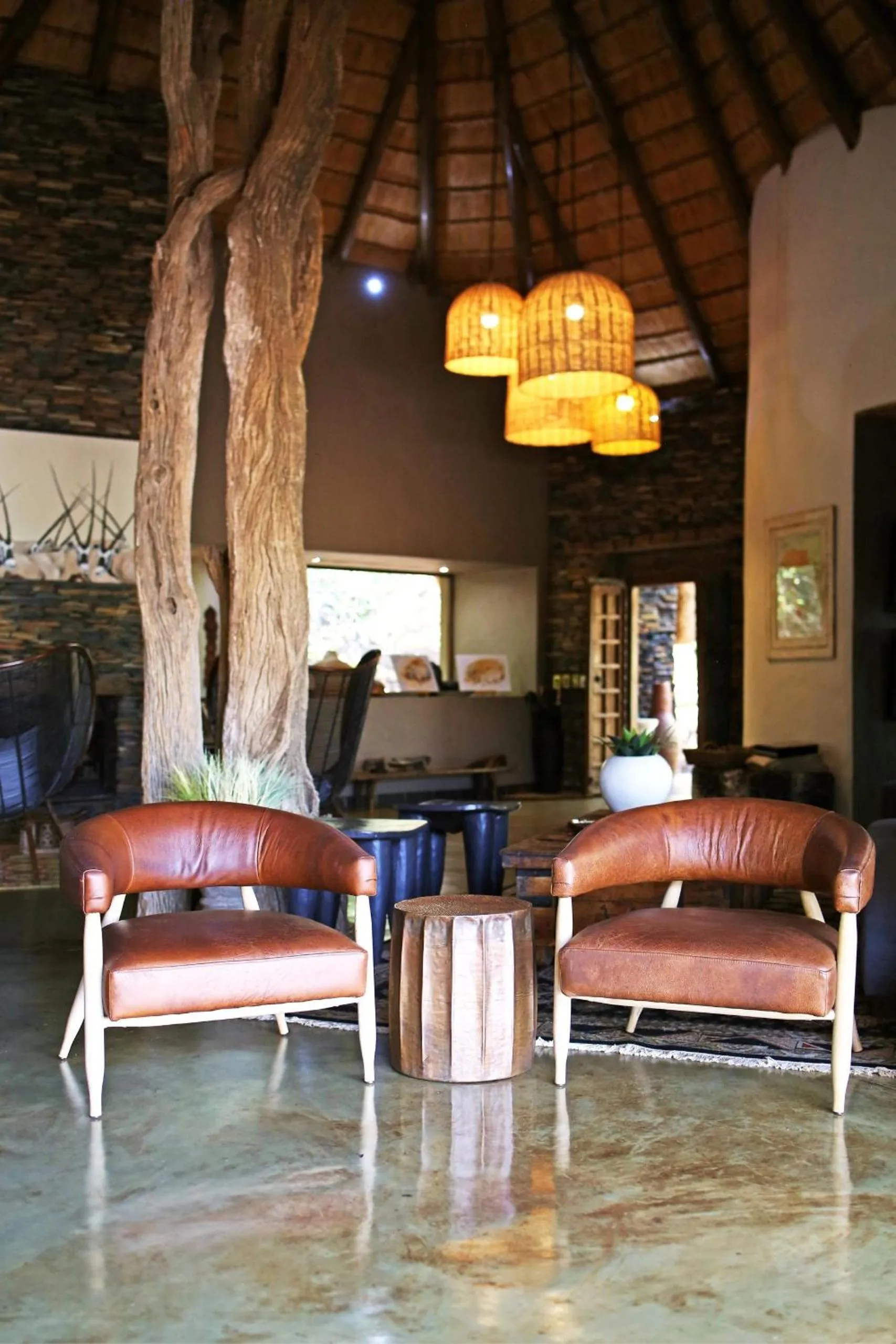 Madikwe Hills Private Game Lodge