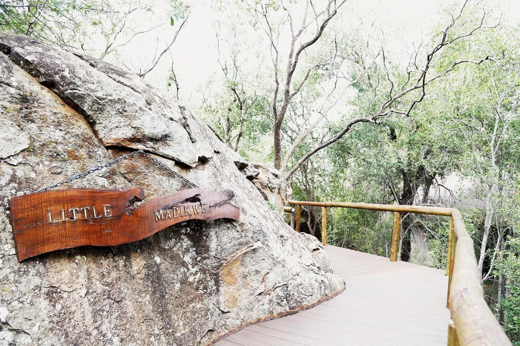 Madikwe Hills Private Game Lodge