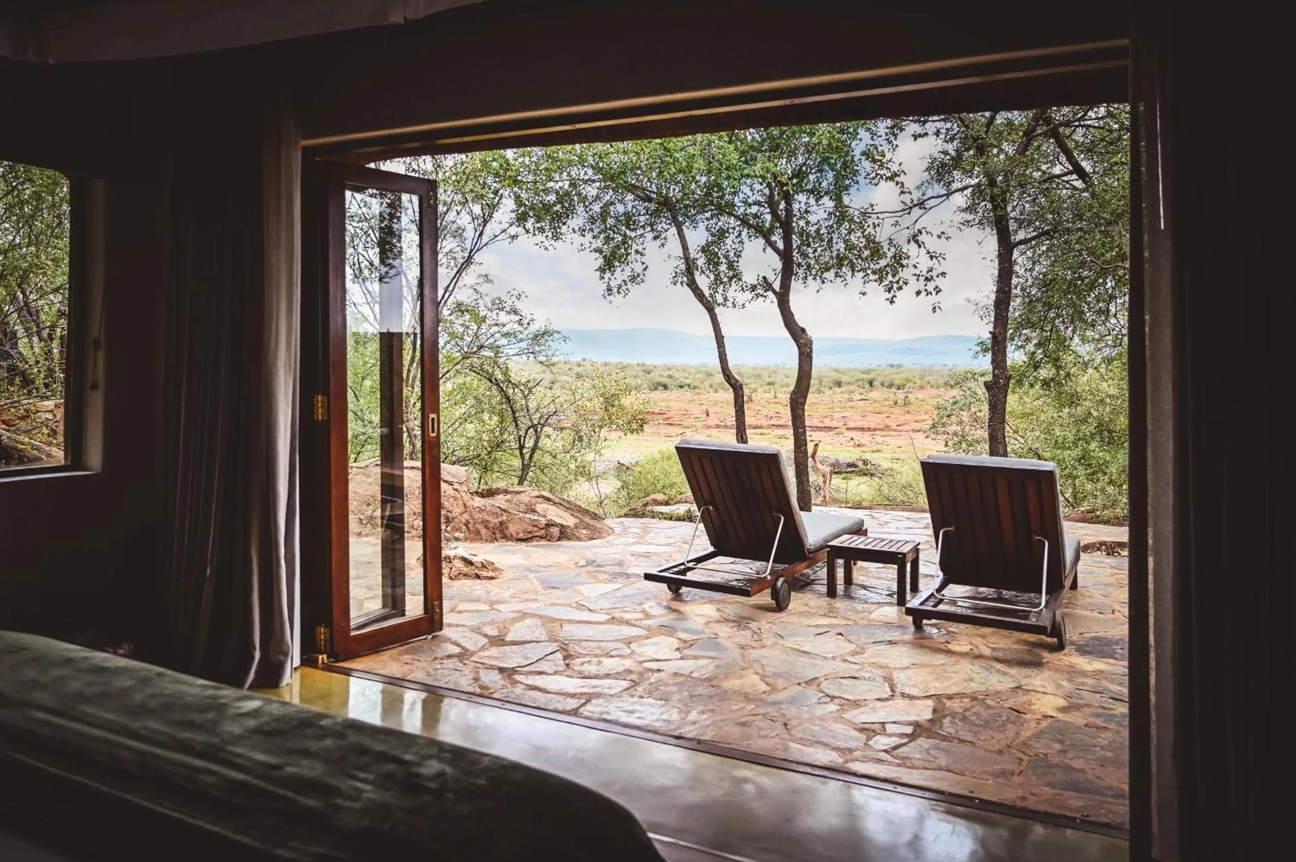 Luxury Suite in Madikwe Hills Private Game Lodge
