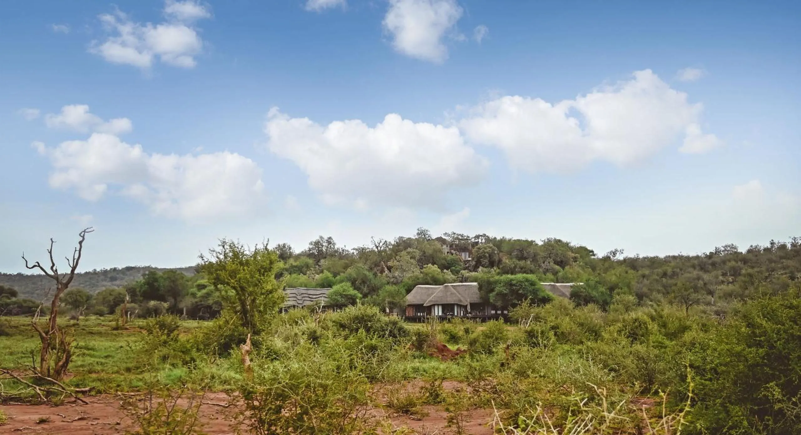Madikwe Hills Private Game Lodge