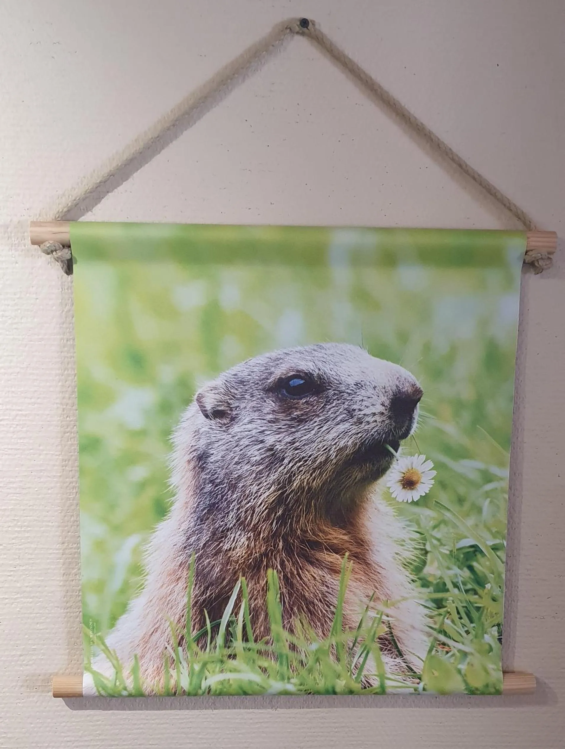 Natural landscape in Hôtel les Deux Cols