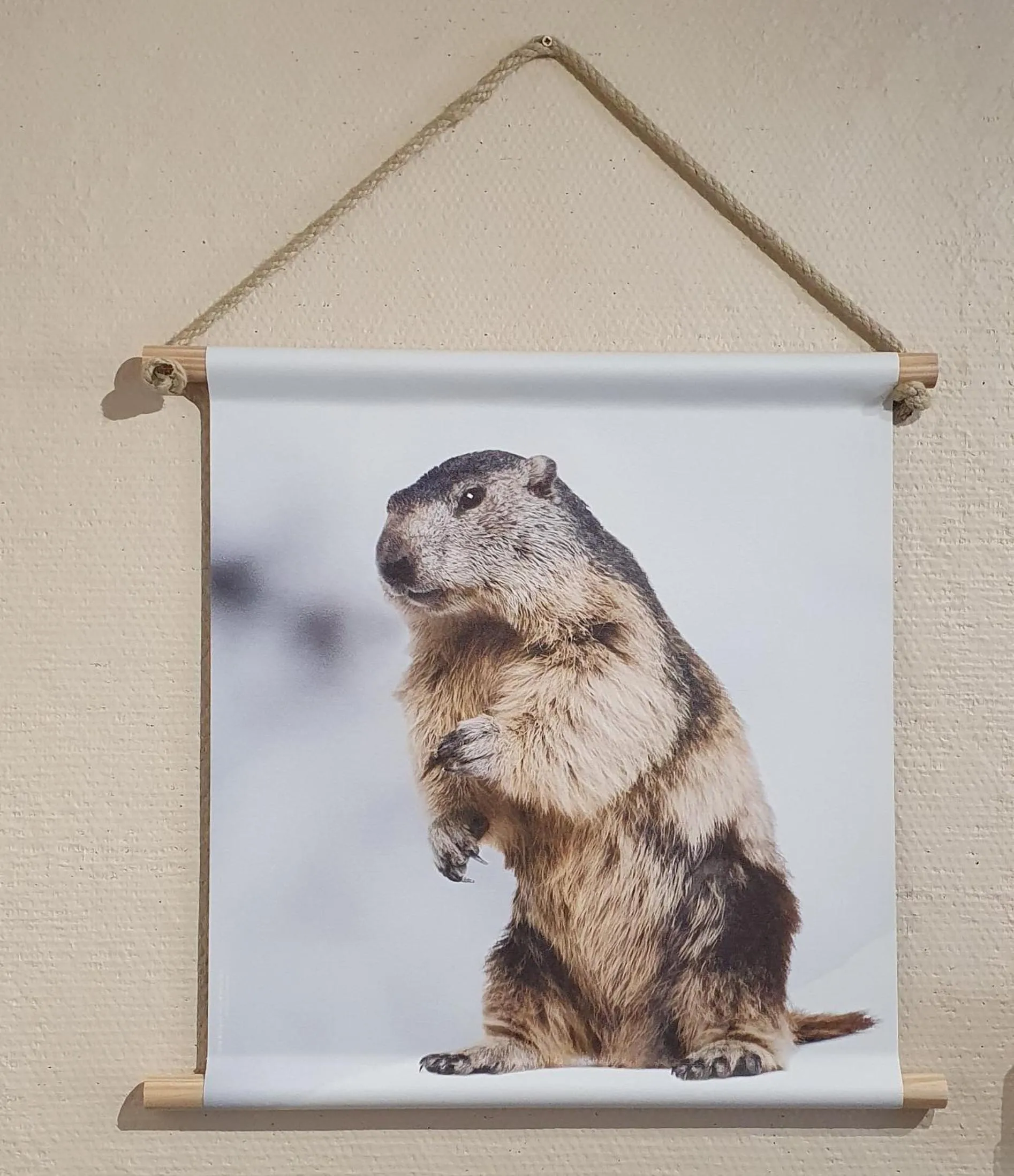 Natural landscape in Hôtel les Deux Cols