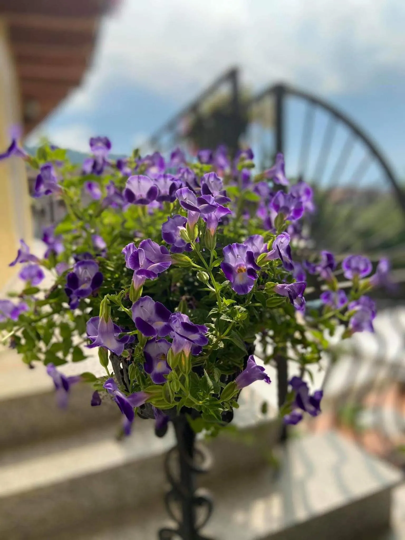 Agriturismo Rocca Dei Marchesi