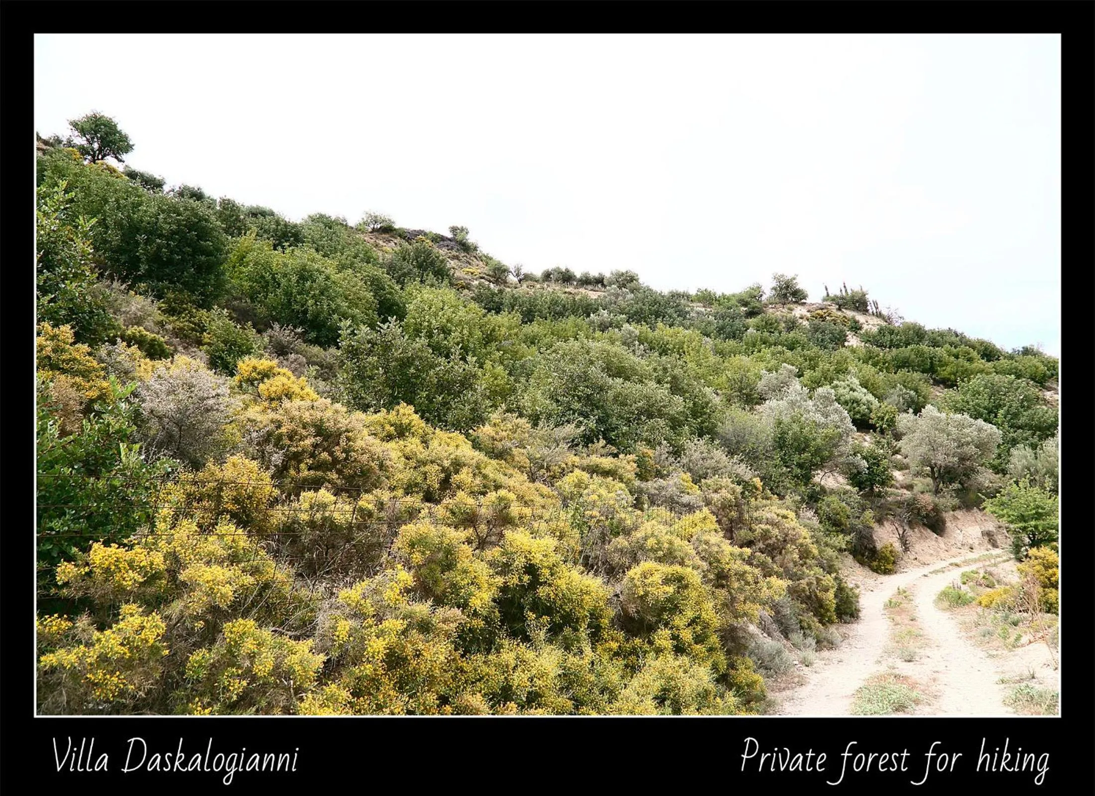 Natural landscape in Villa Daskalogianni