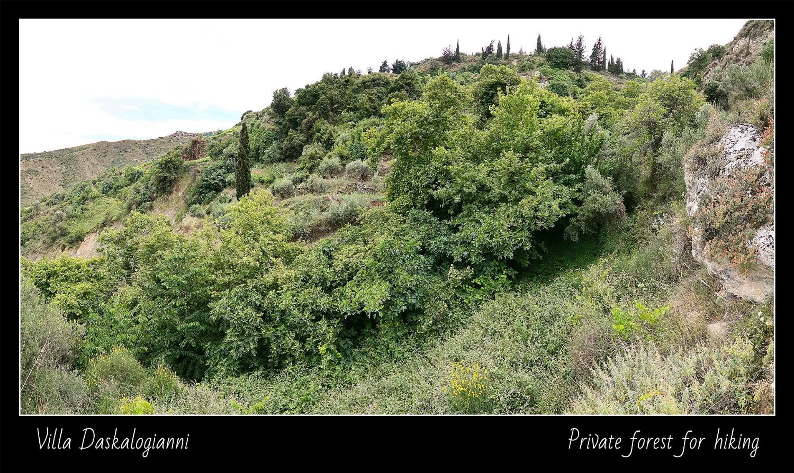 Natural landscape in Villa Daskalogianni