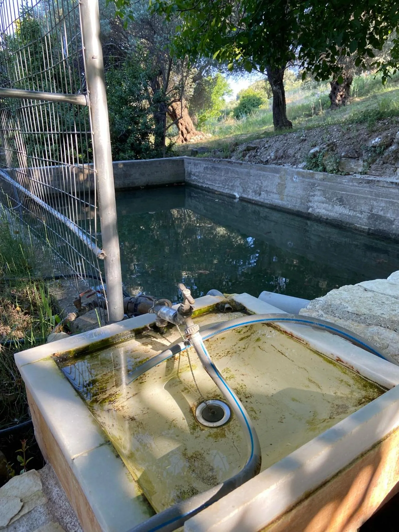 Garden in Villa Daskalogianni