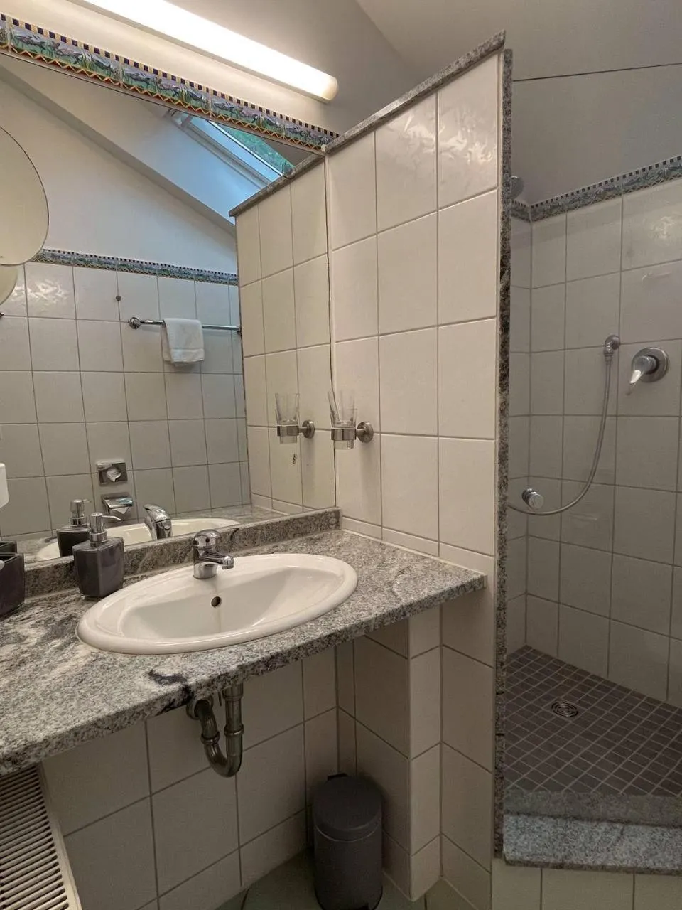 Shower in Villa Seebach