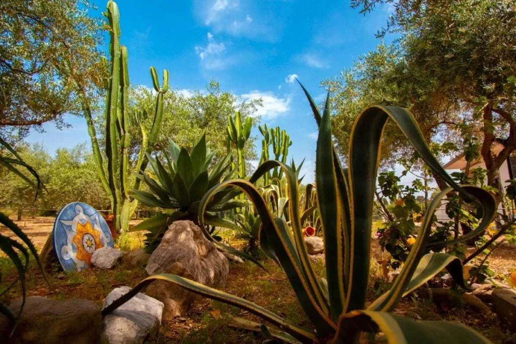 Day in Medimare Residence Club