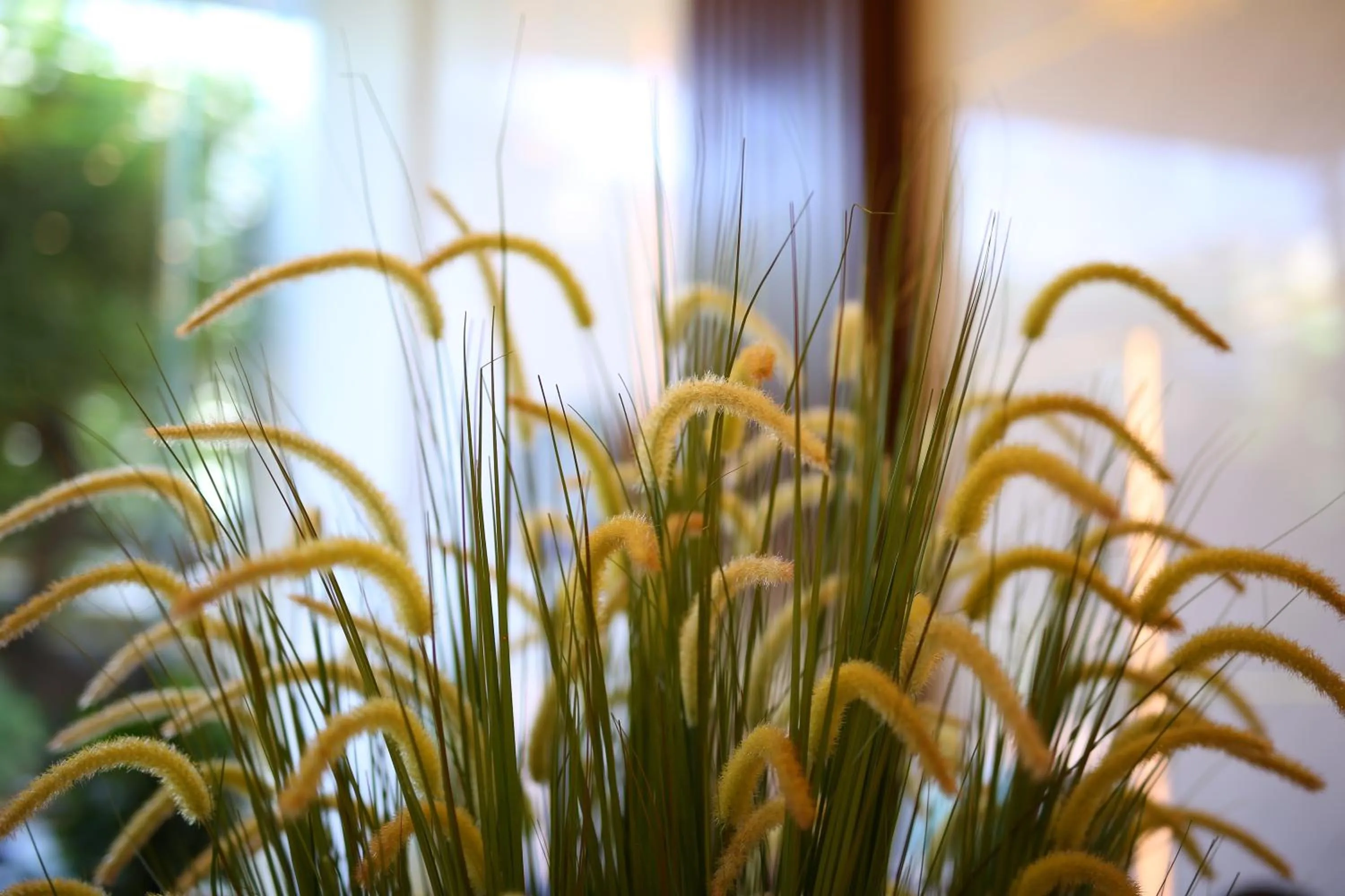 Decorative detail in Aloha Hotel Nha Trang