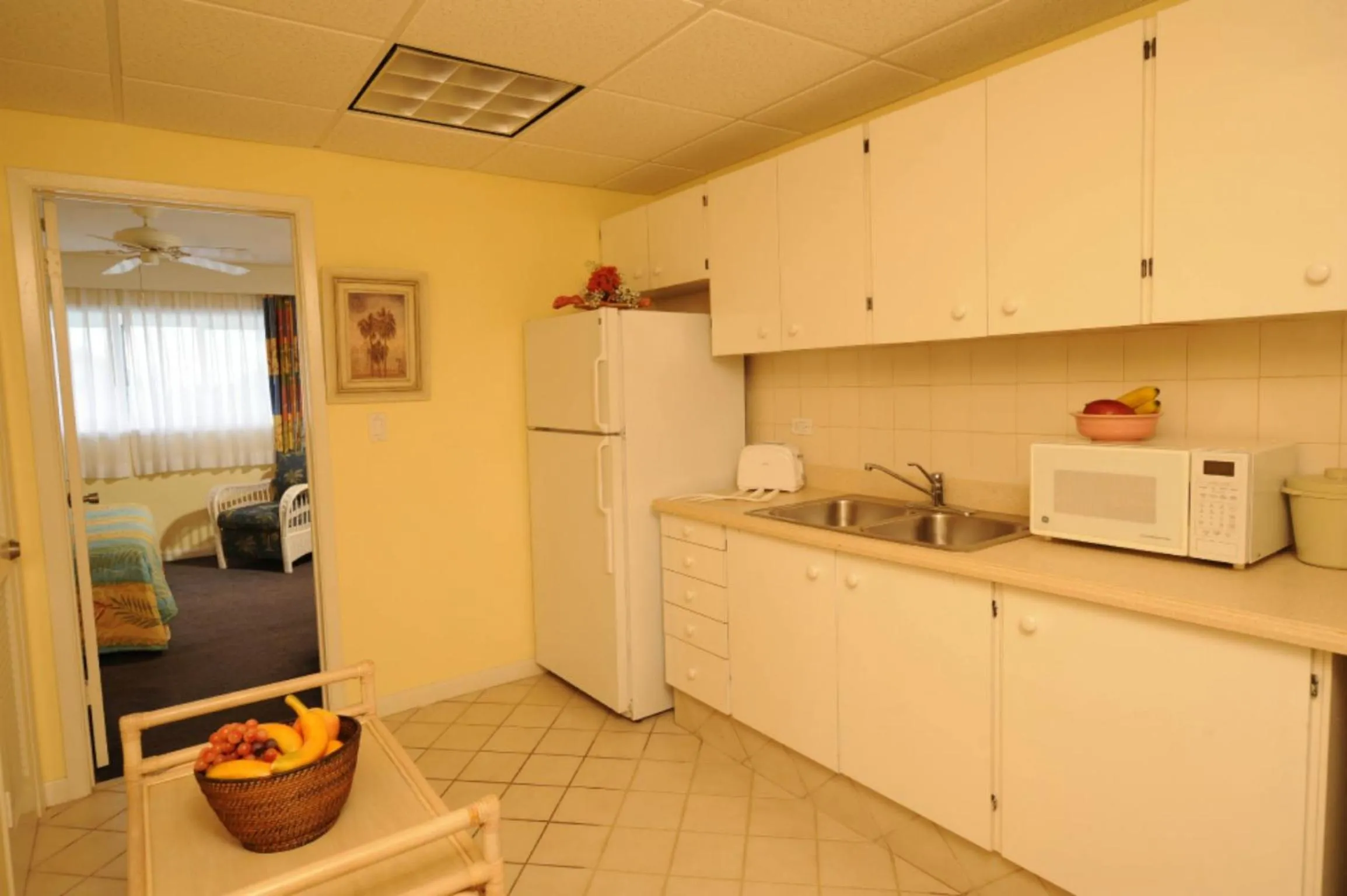 Kitchen or kitchenette in Bay View Suites Paradise Island