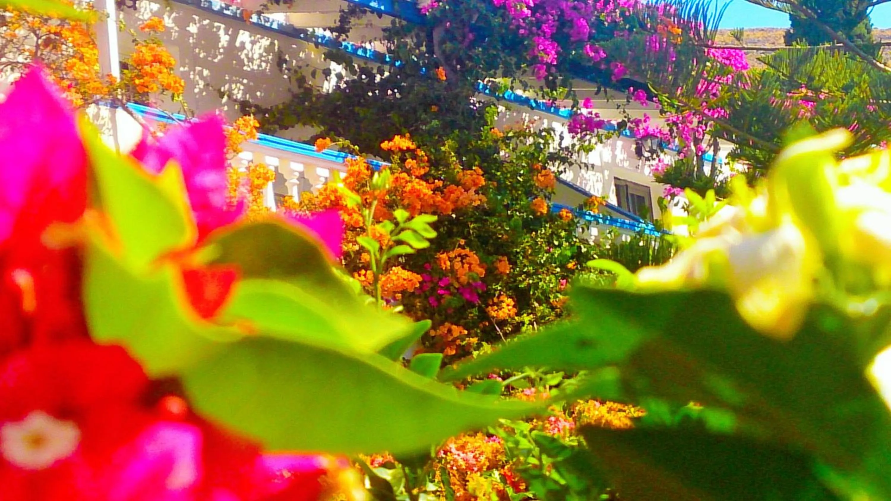 Facade/entrance in Angelika