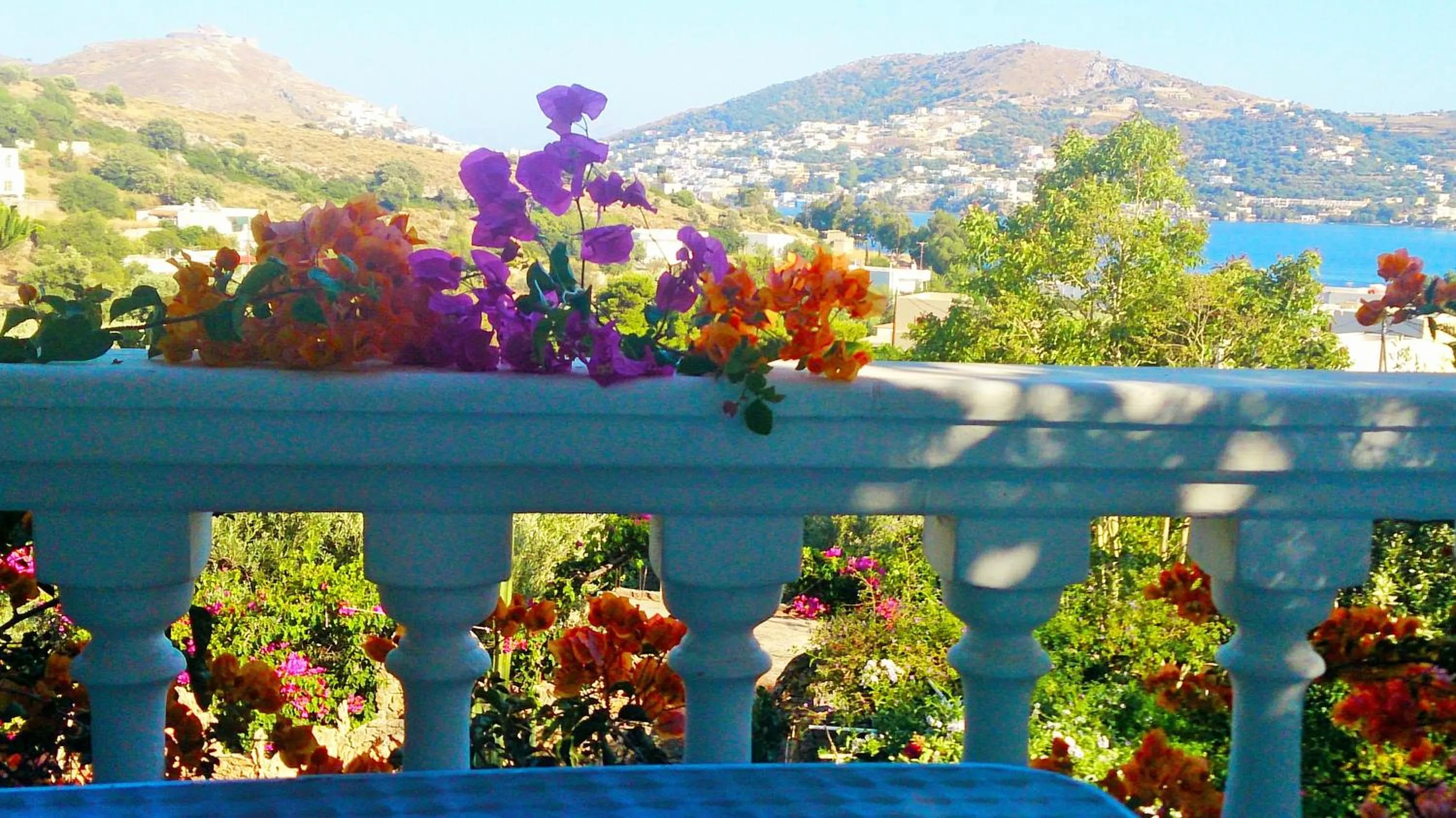 View (from property/room) in Angelika