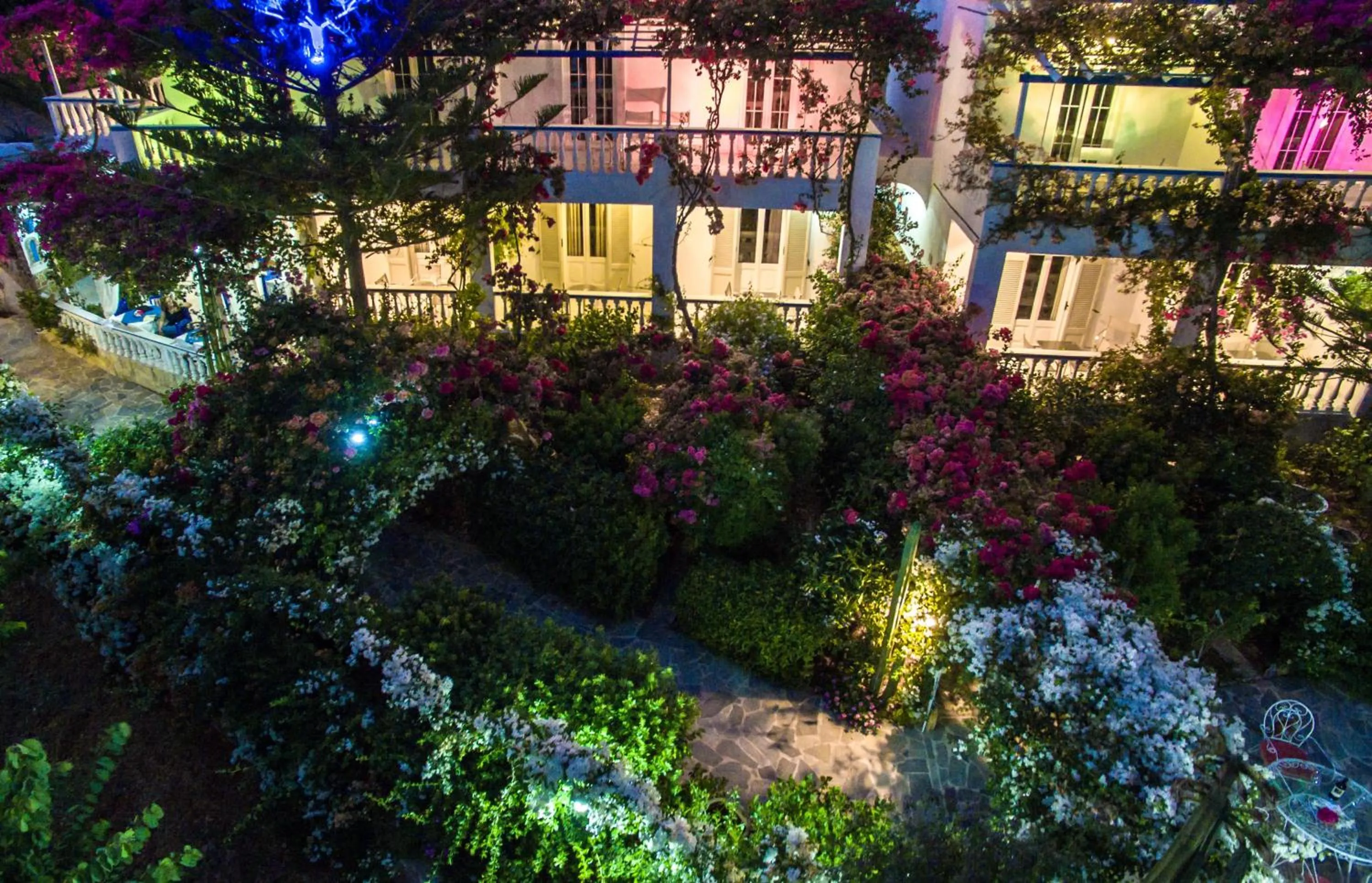 Bird's eye view in Angelika