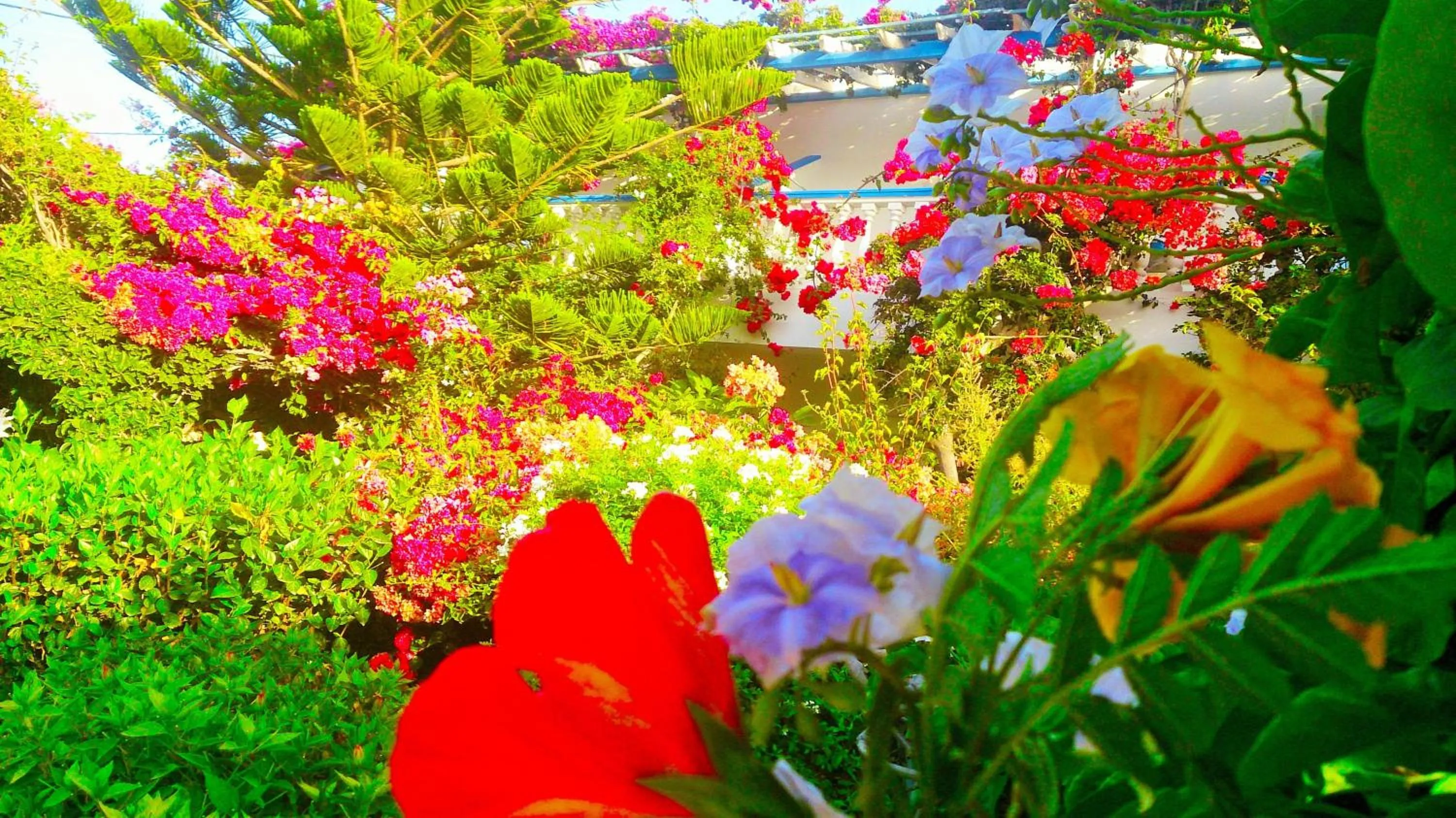 Facade/entrance in Angelika