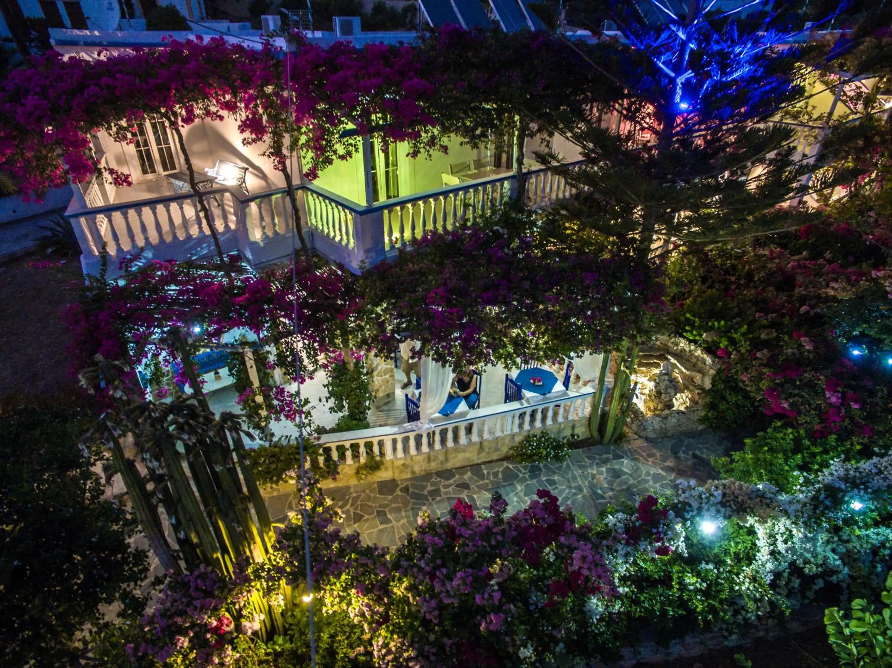 Bird's eye view in Angelika