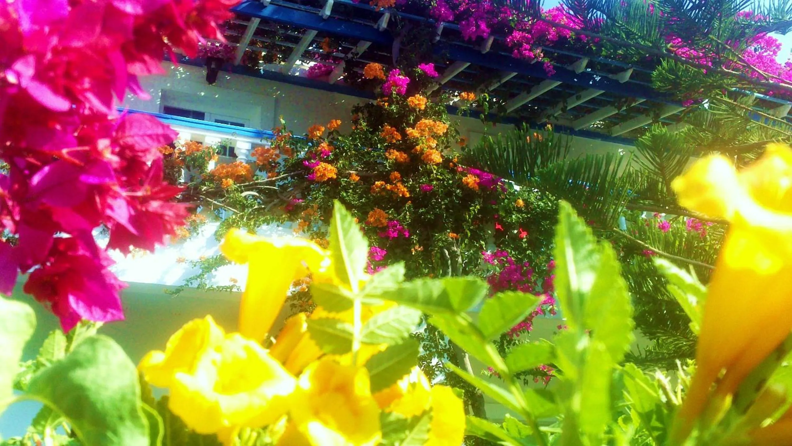 Facade/entrance in Angelika