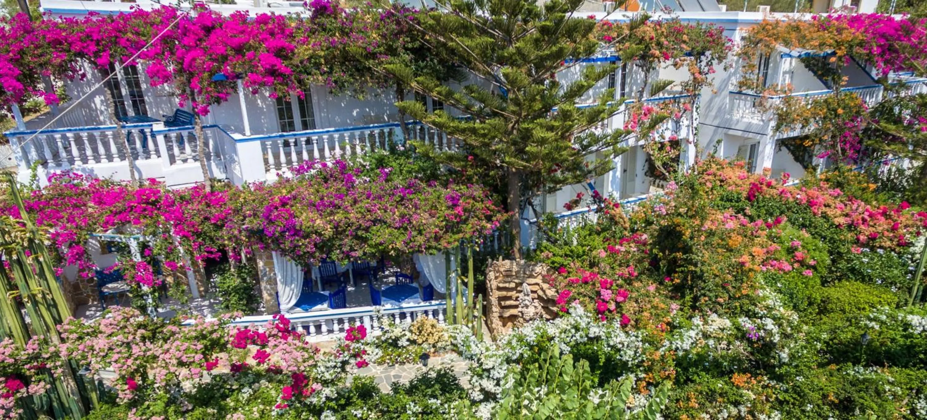 Bird's eye view in Angelika