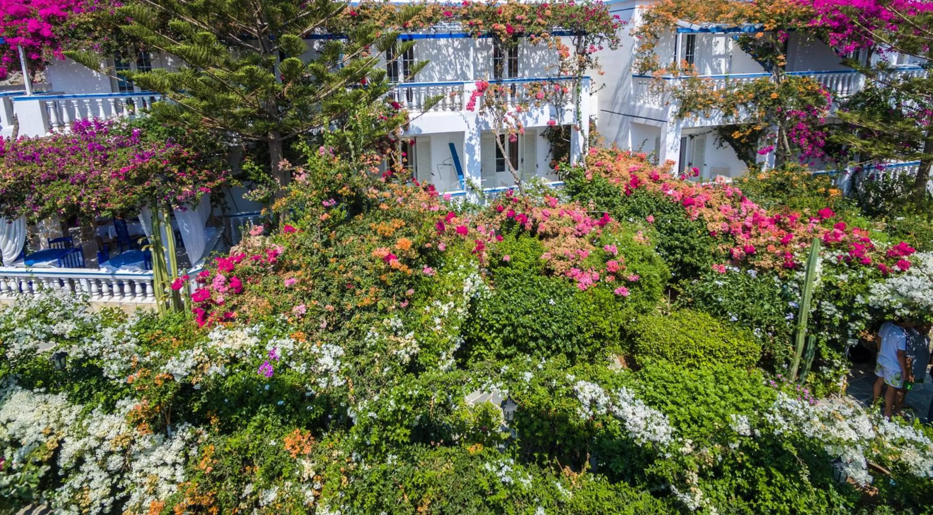 Bird's eye view in Angelika