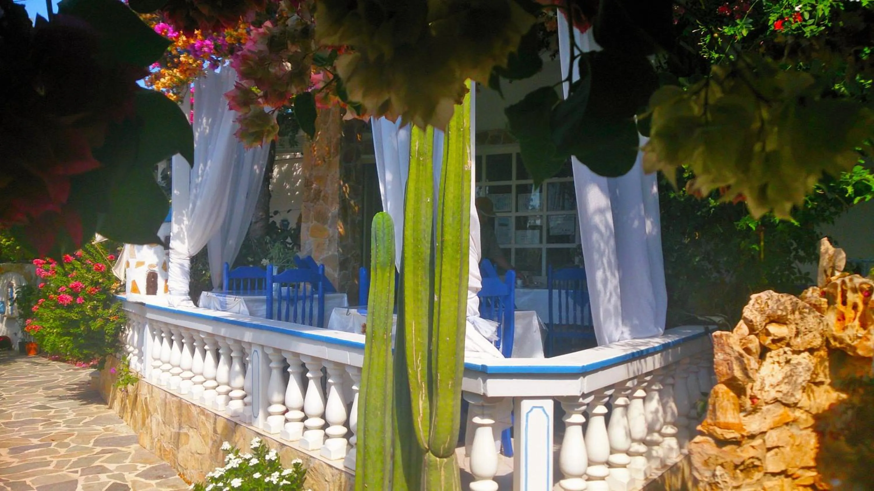 Restaurant/places to eat in Angelika