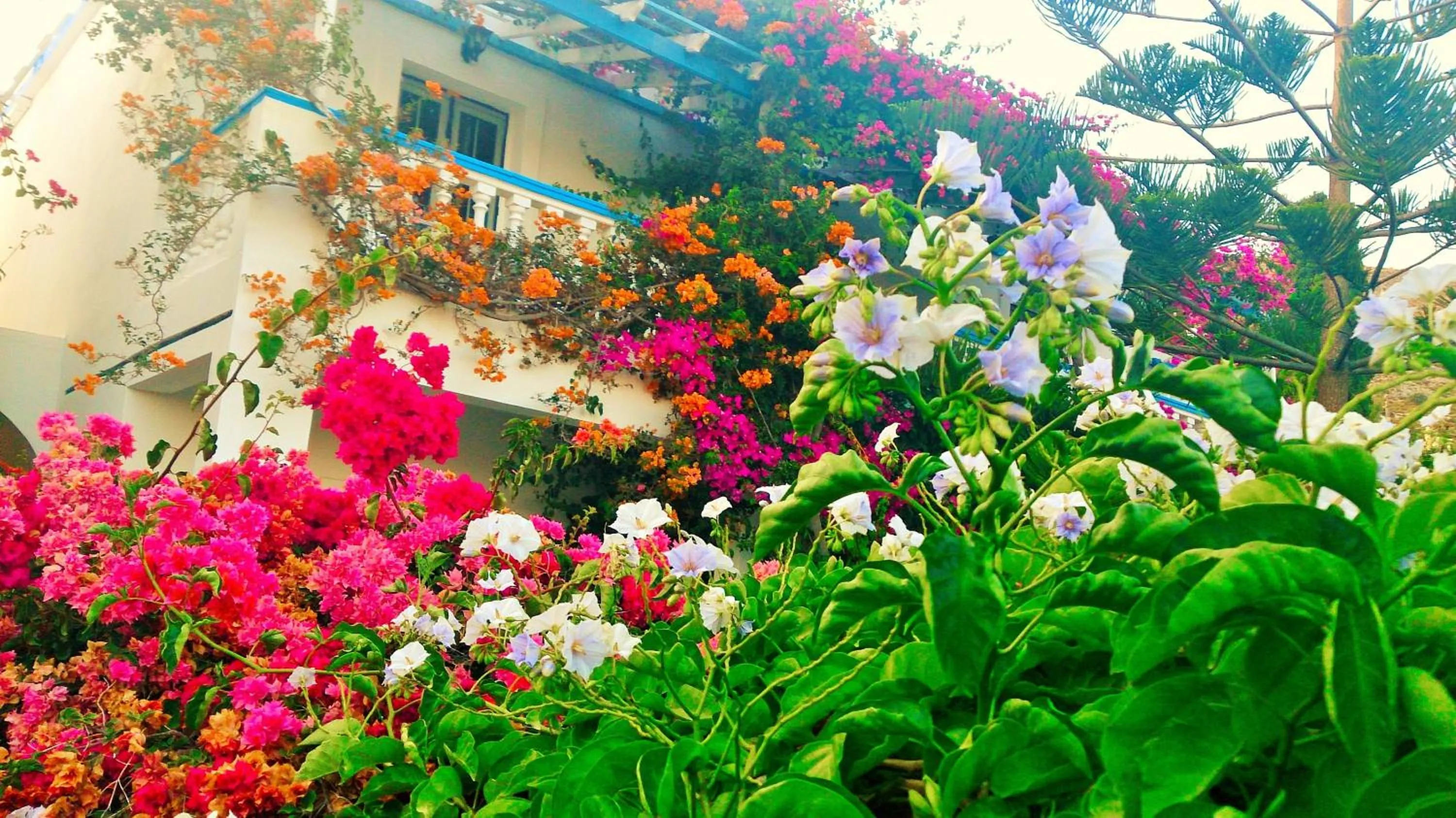 Facade/entrance in Angelika