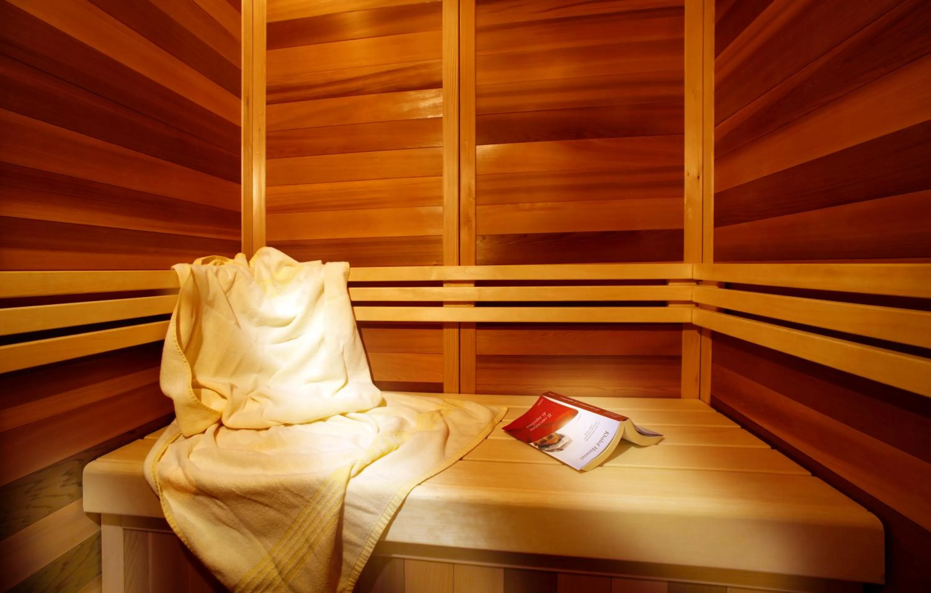 Sauna in Hotel Ingram
