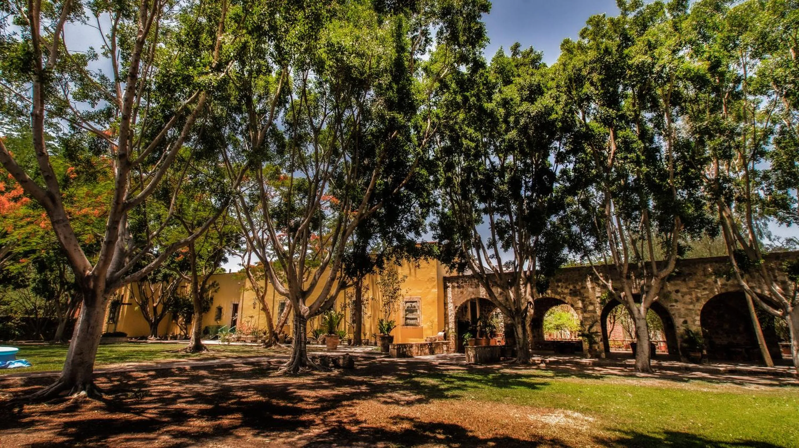 Natural landscape in Hacienda Labor de Rivera Hotel Boutique & Eventos