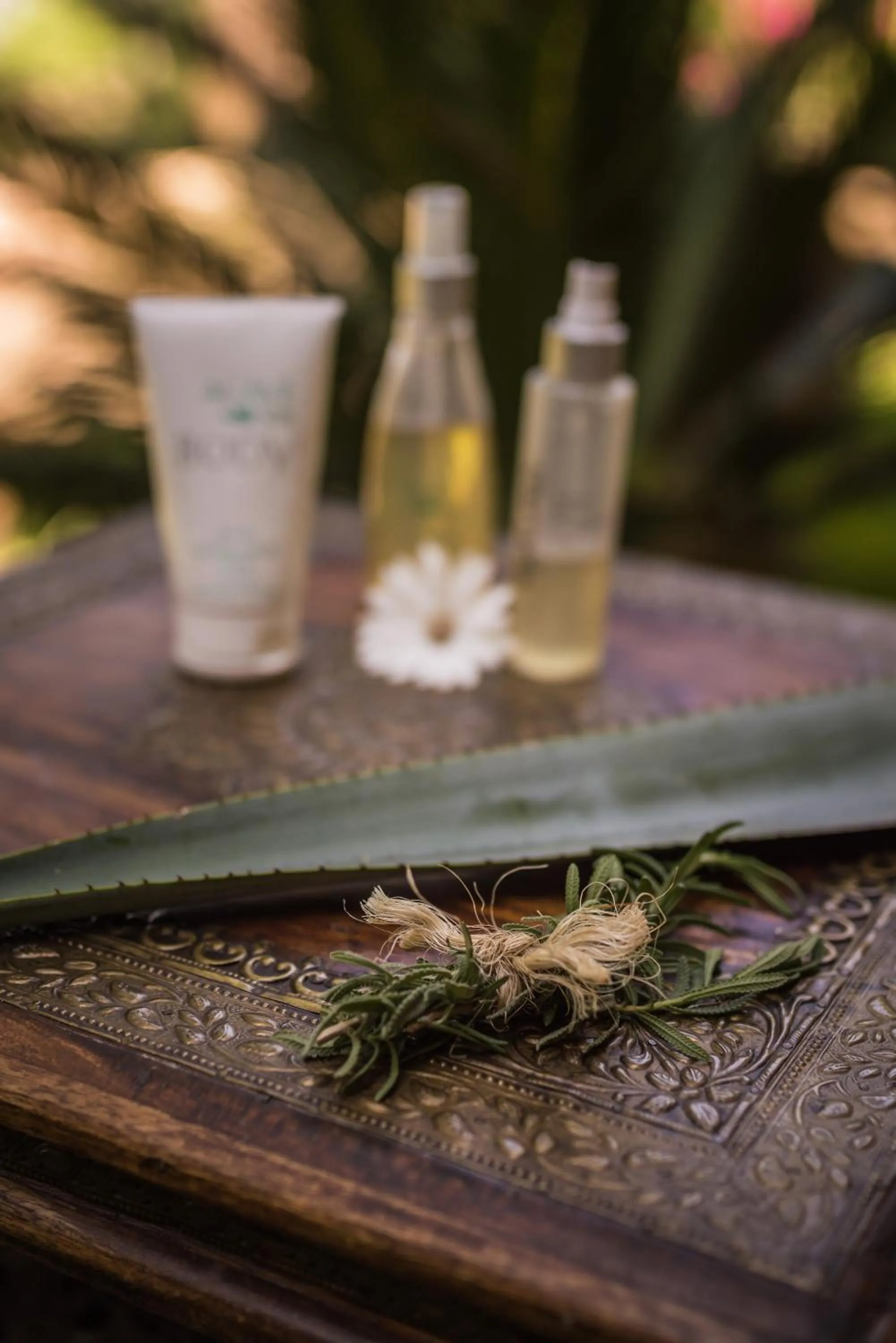 Spring in Hacienda Labor de Rivera Hotel Boutique & Eventos