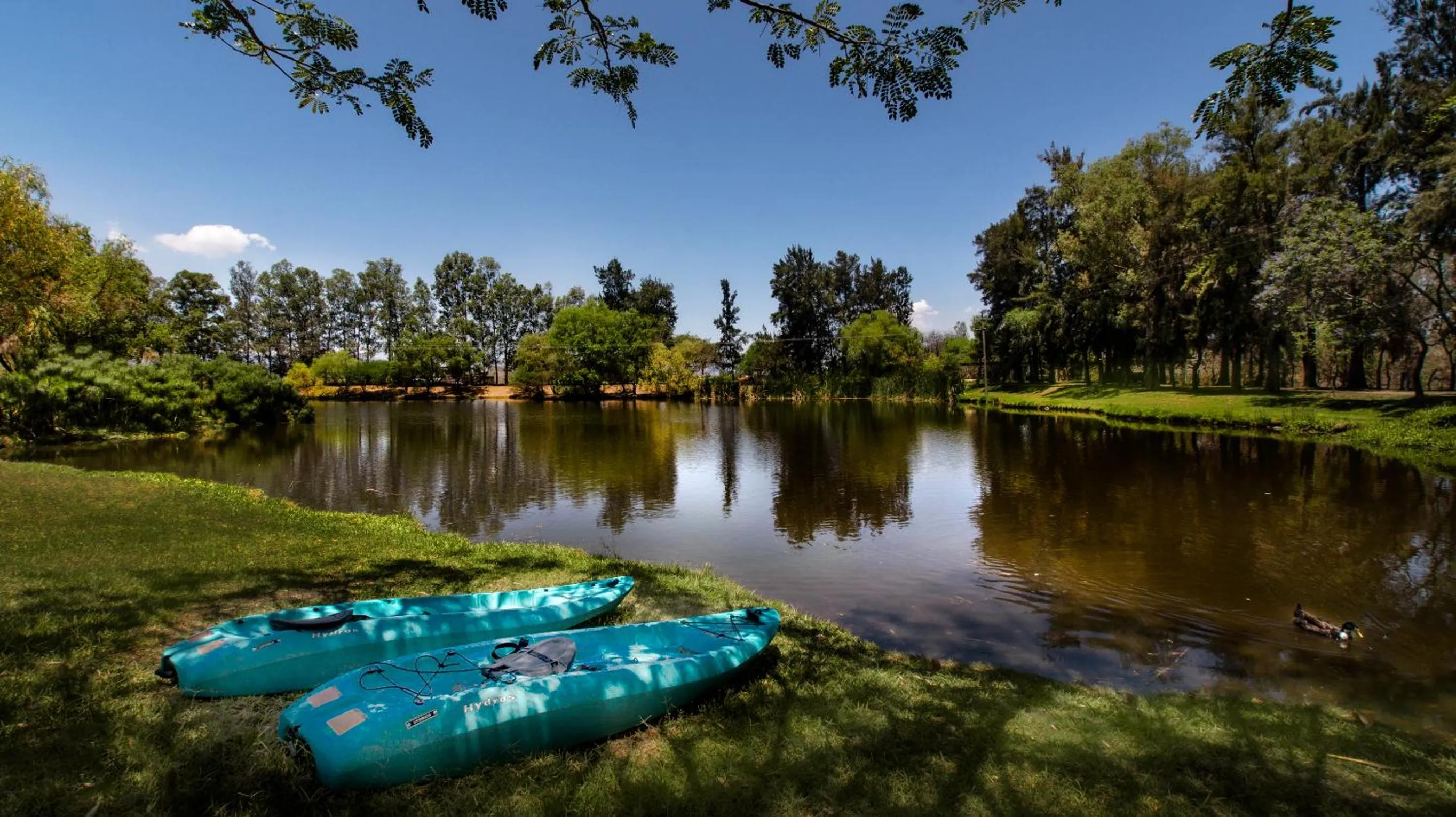 Natural landscape in Hacienda Labor de Rivera Hotel Boutique & Eventos
