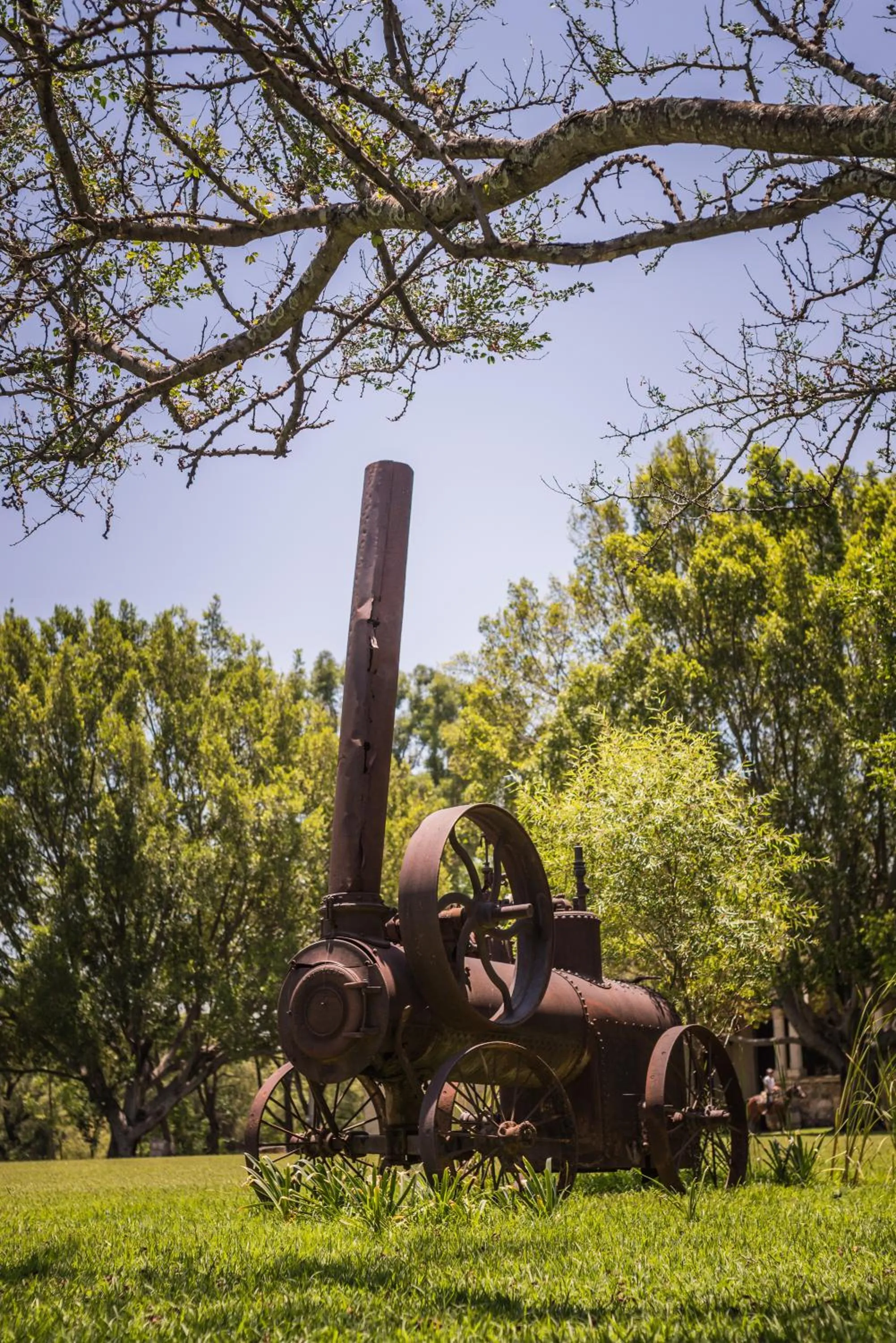 On site in Hacienda Labor de Rivera Hotel Boutique & Eventos