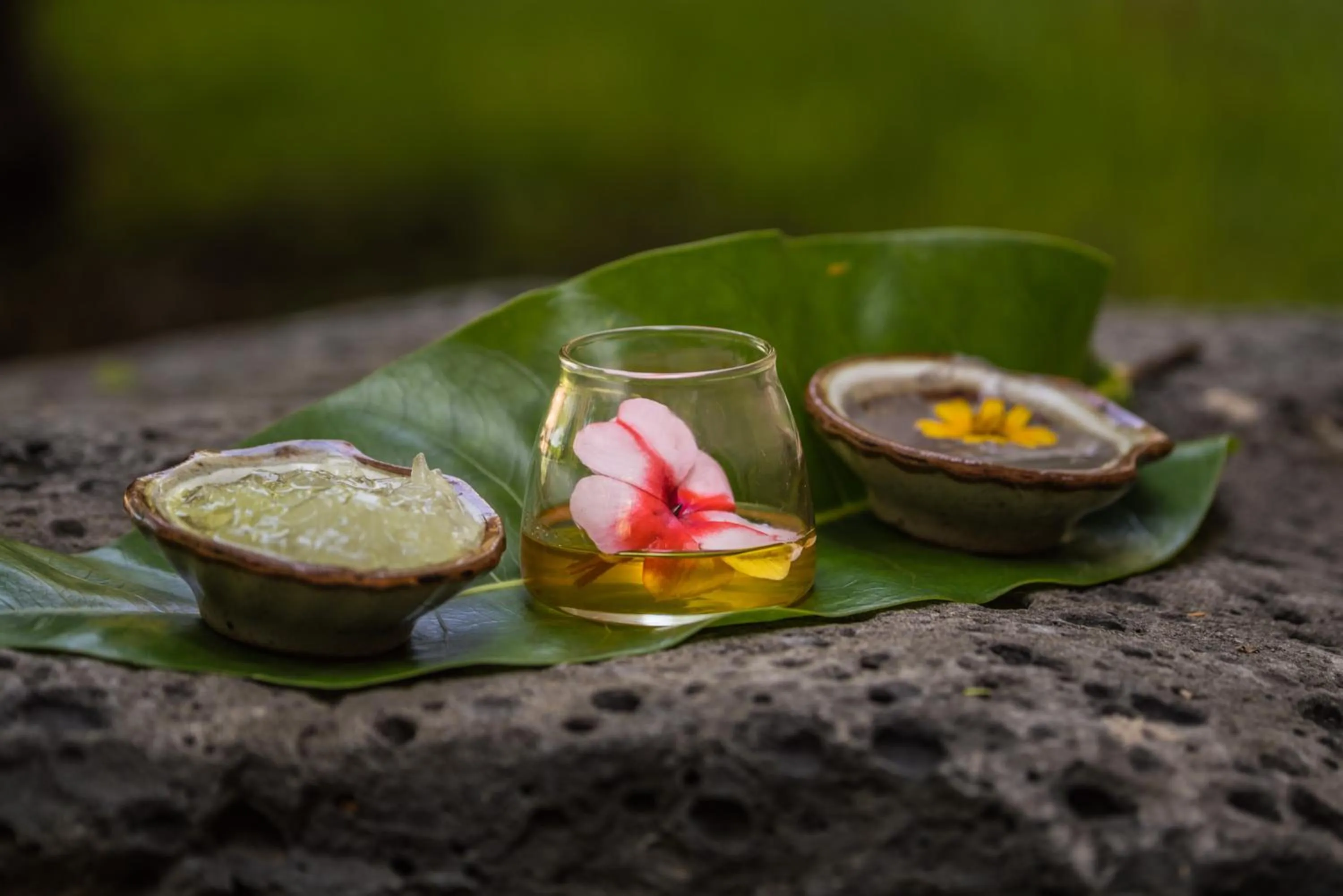 Spring in Hacienda Labor de Rivera Hotel Boutique & Eventos