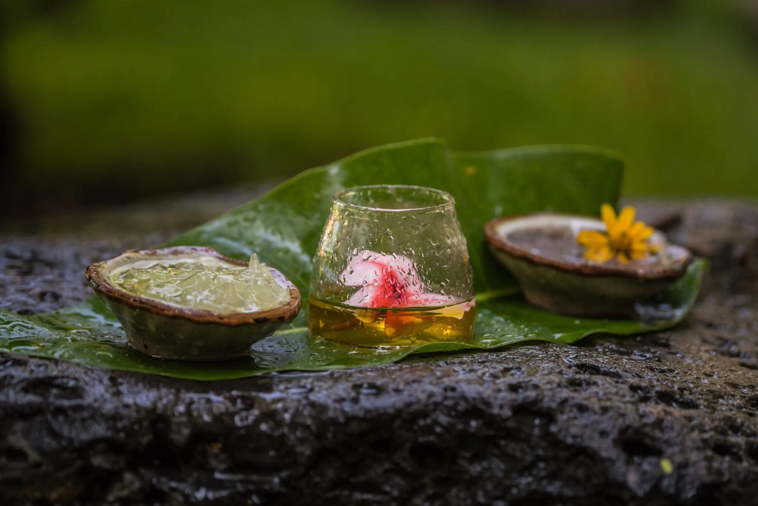 Massage in Hacienda Labor de Rivera Hotel Boutique & Eventos