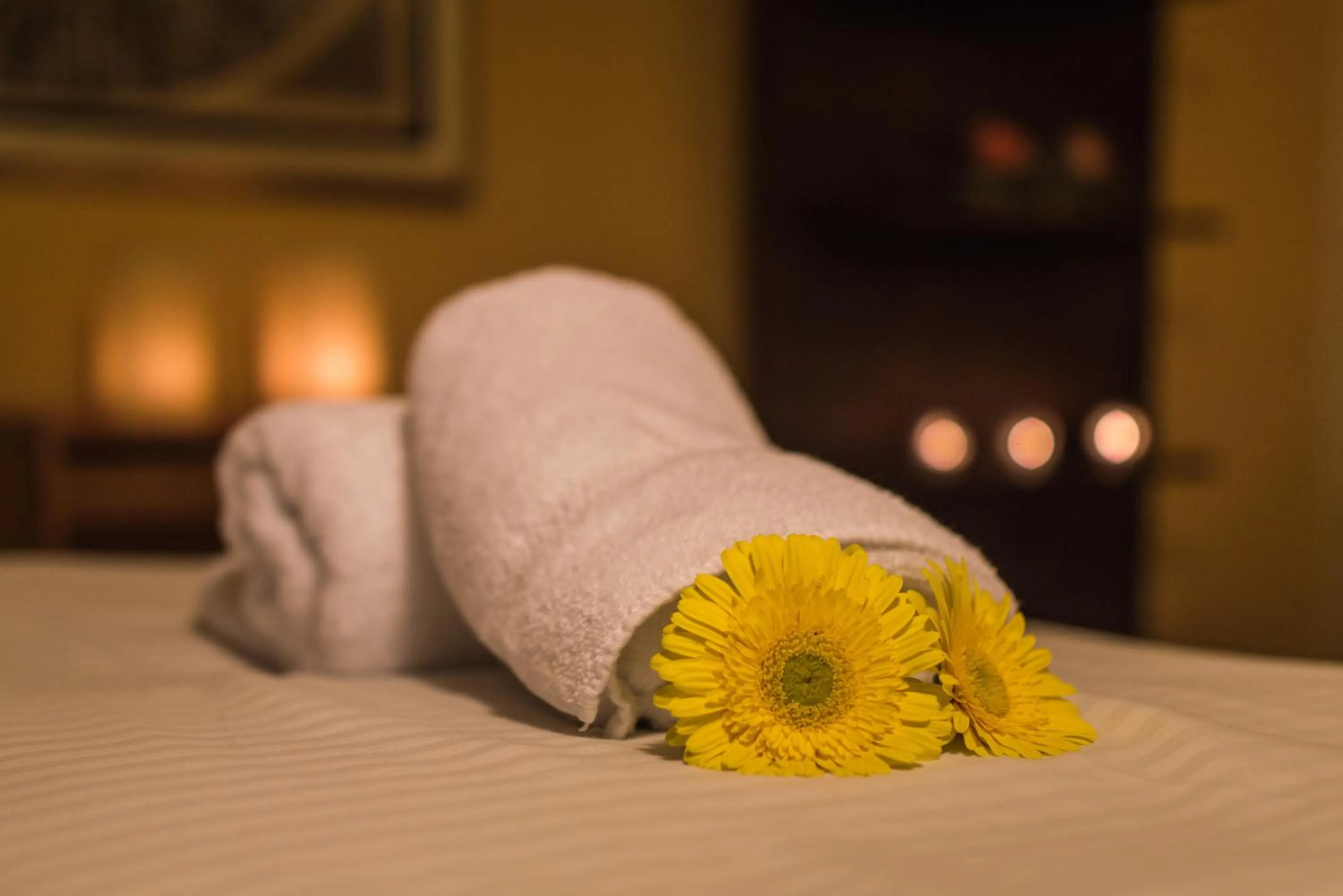 Decorative detail, Bed in Hacienda Labor de Rivera Hotel Boutique & Eventos