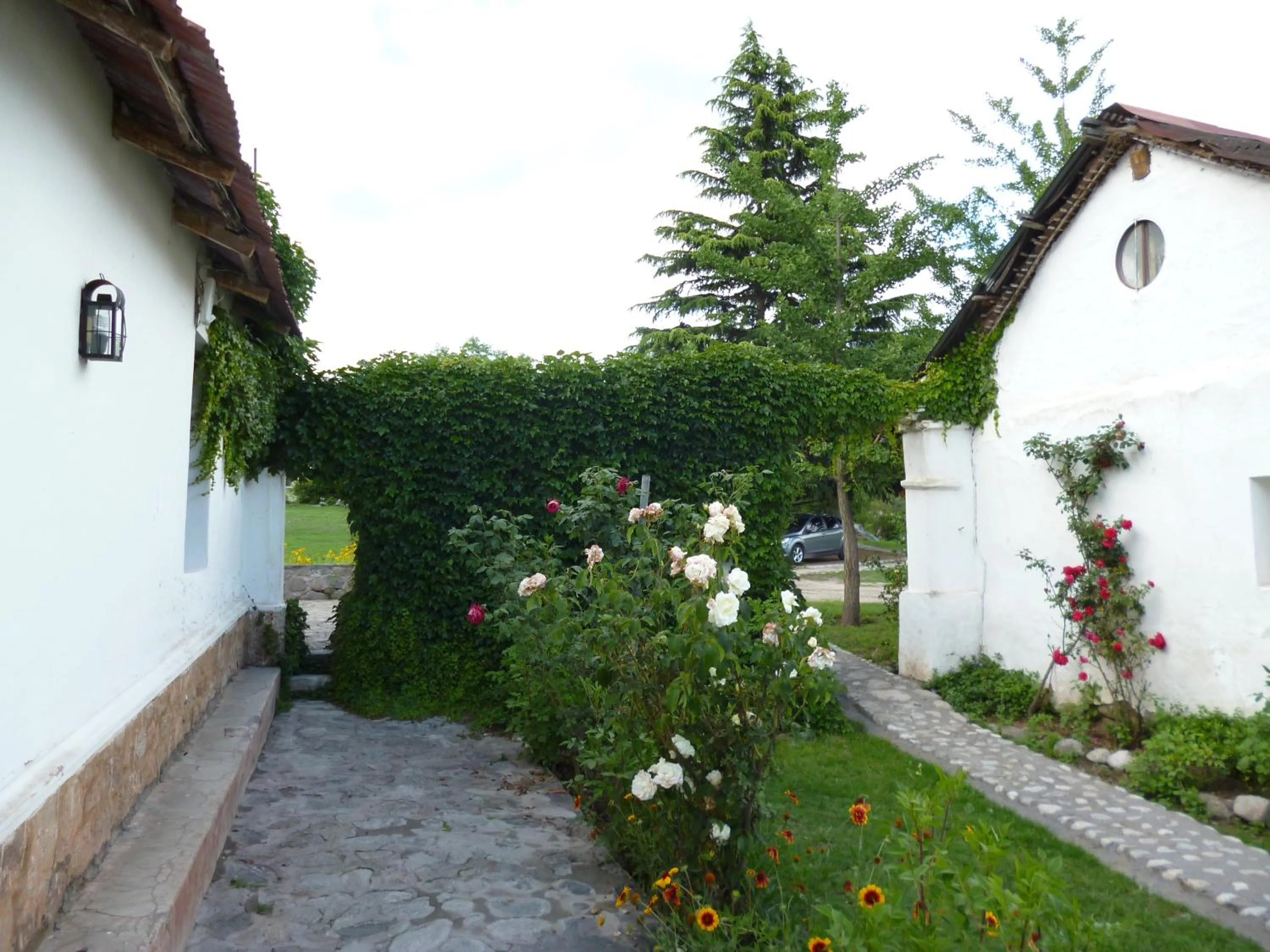 Other in Estancia Las Tacanas