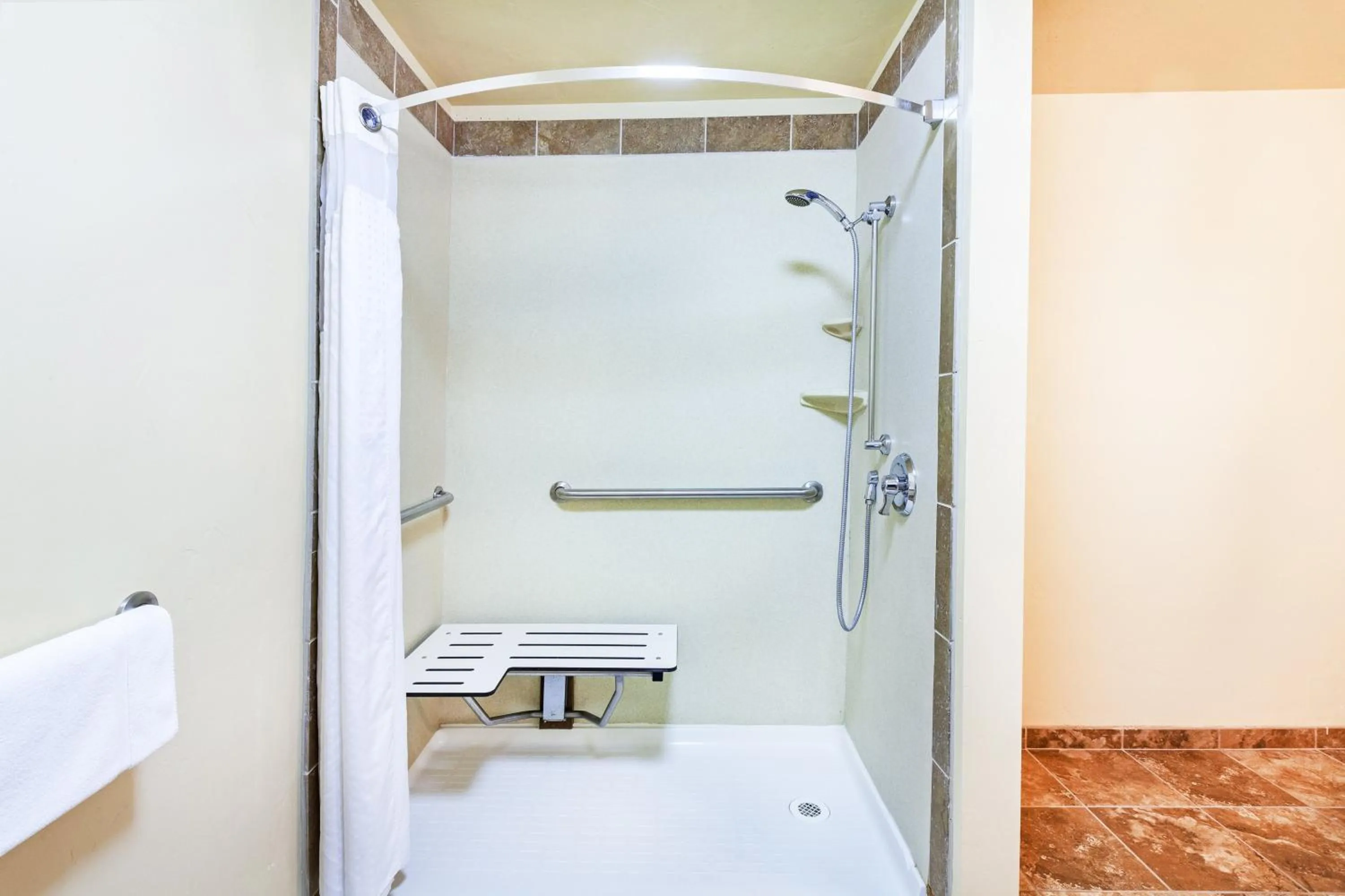 Bathroom in Holiday Inn & Suites Durango Downtown by IHG