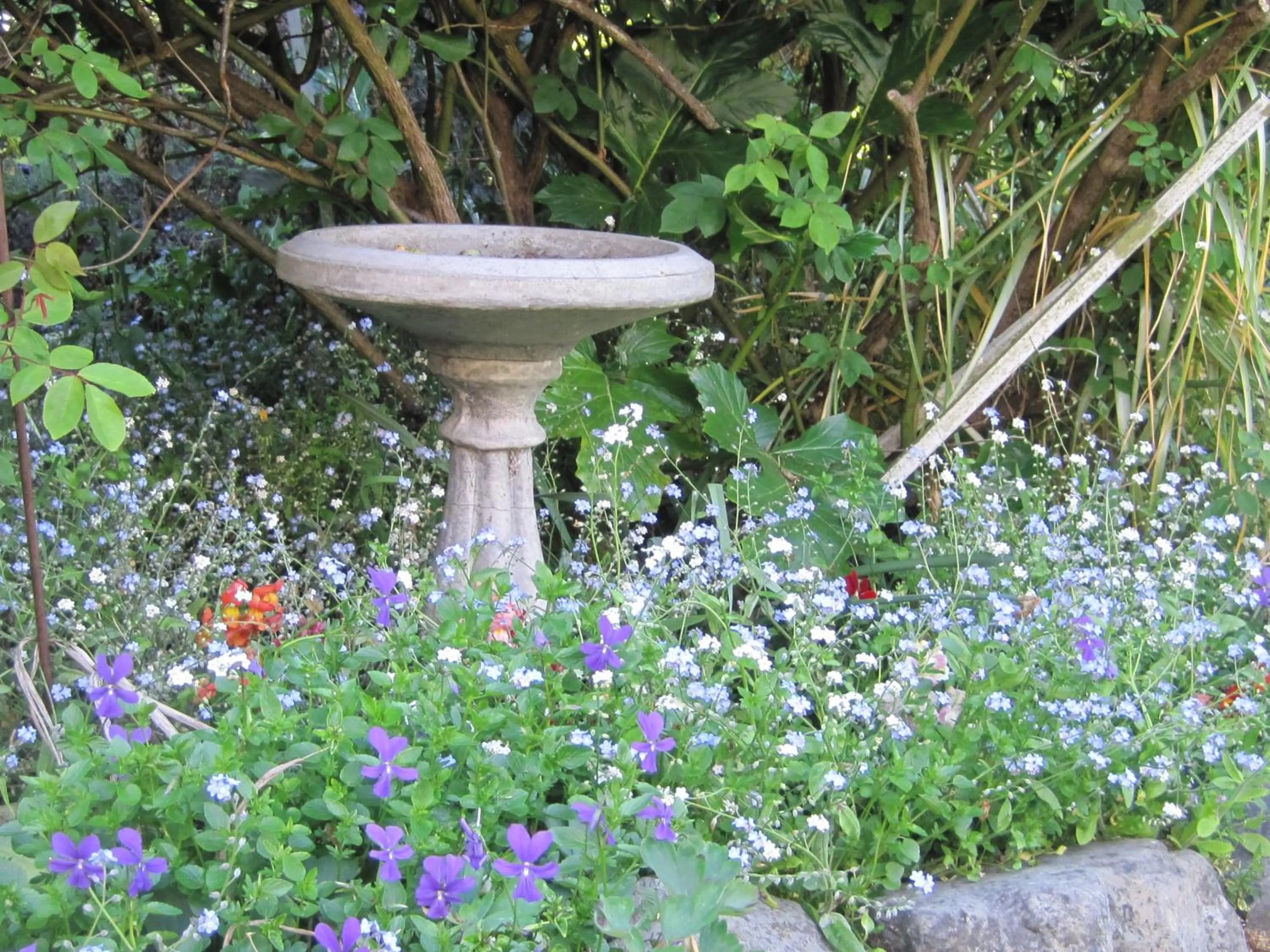 Garden in Brook House B&B & Cottages
