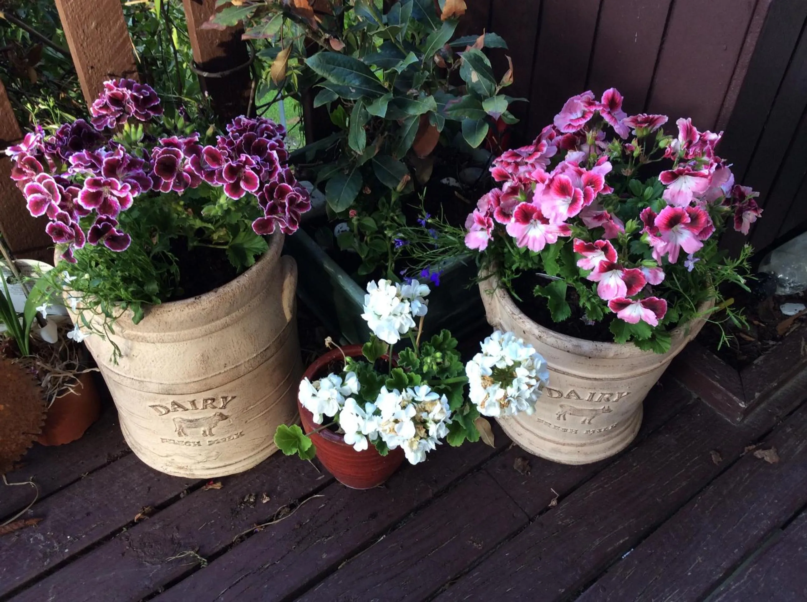 Patio in Brook House B&B & Cottages
