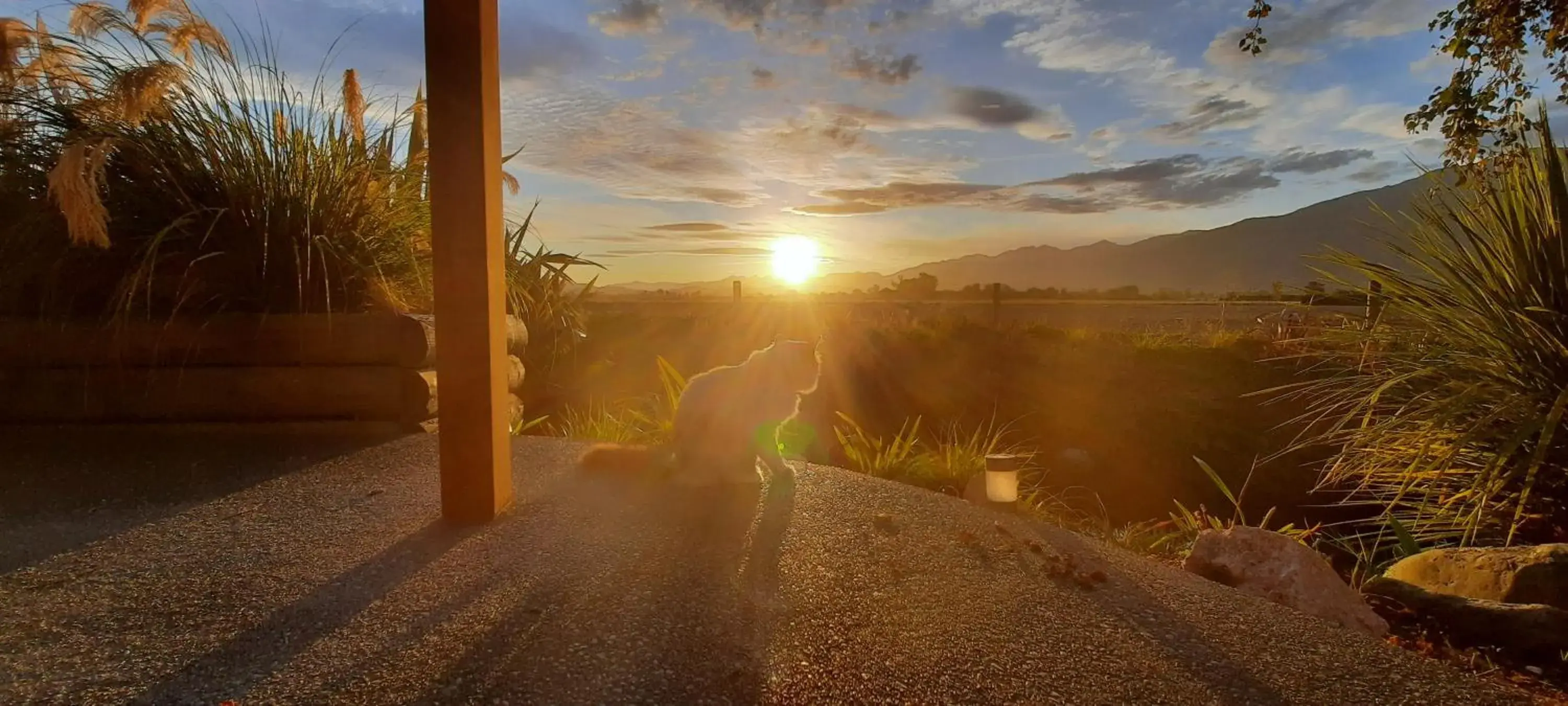 Brook House B&B & Cottages Brook House B&B & Cottages