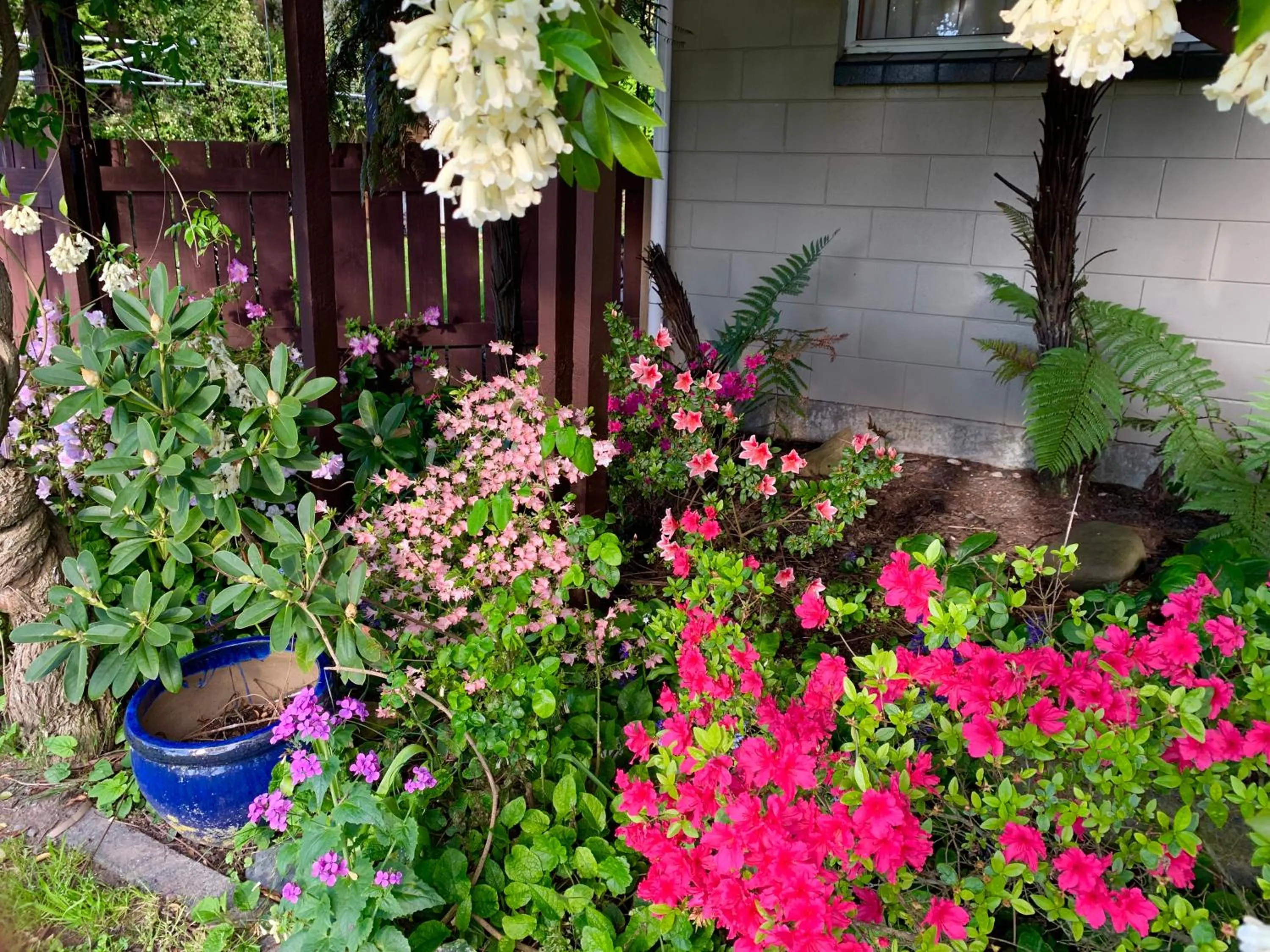 Garden in Brook House B&B & Cottages
