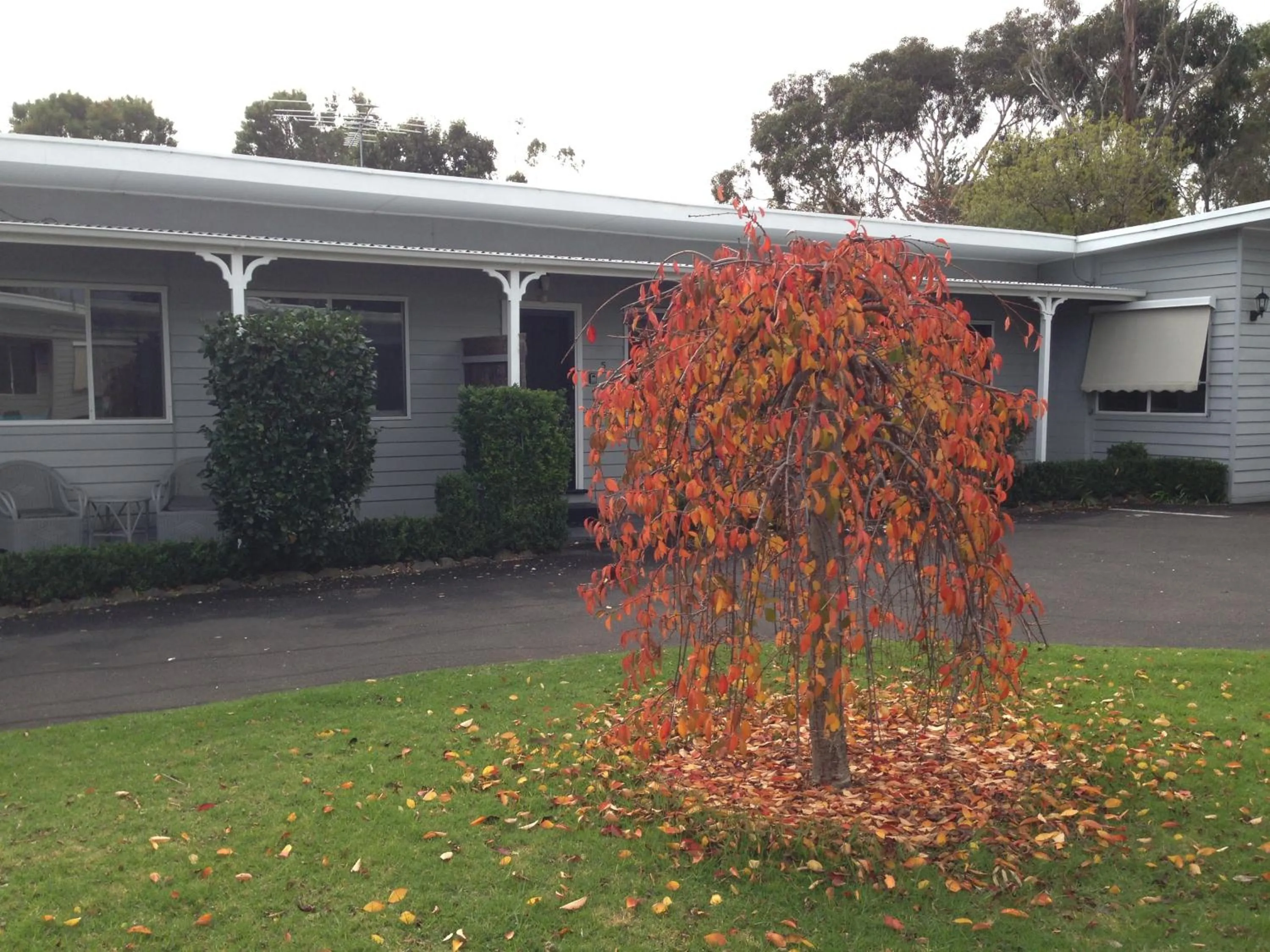 Garden in Phillip Island Cottages