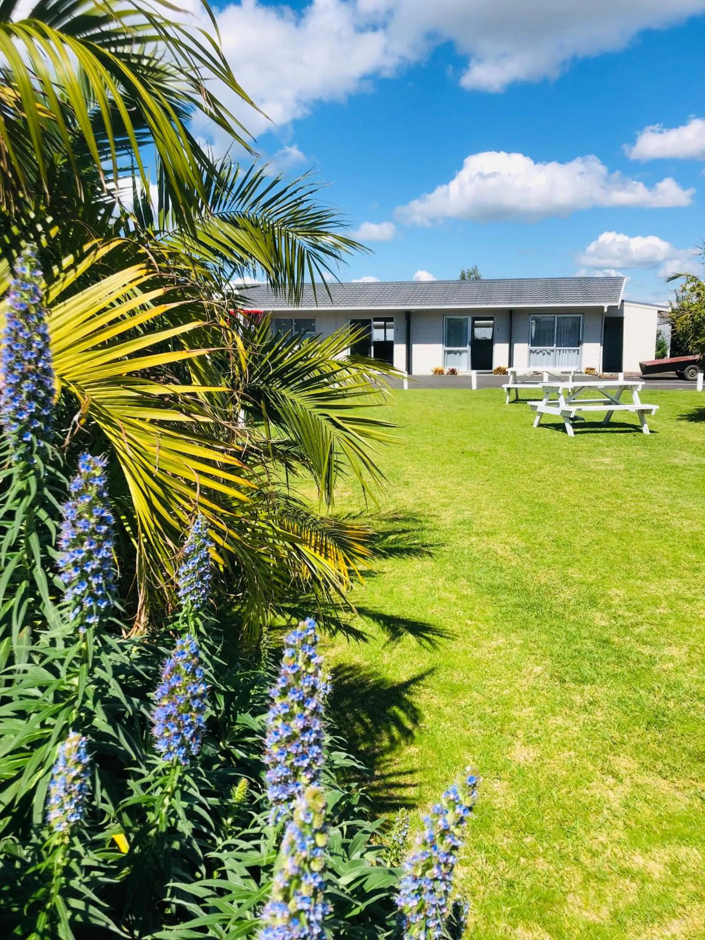 Garden in Blue Haven Motel