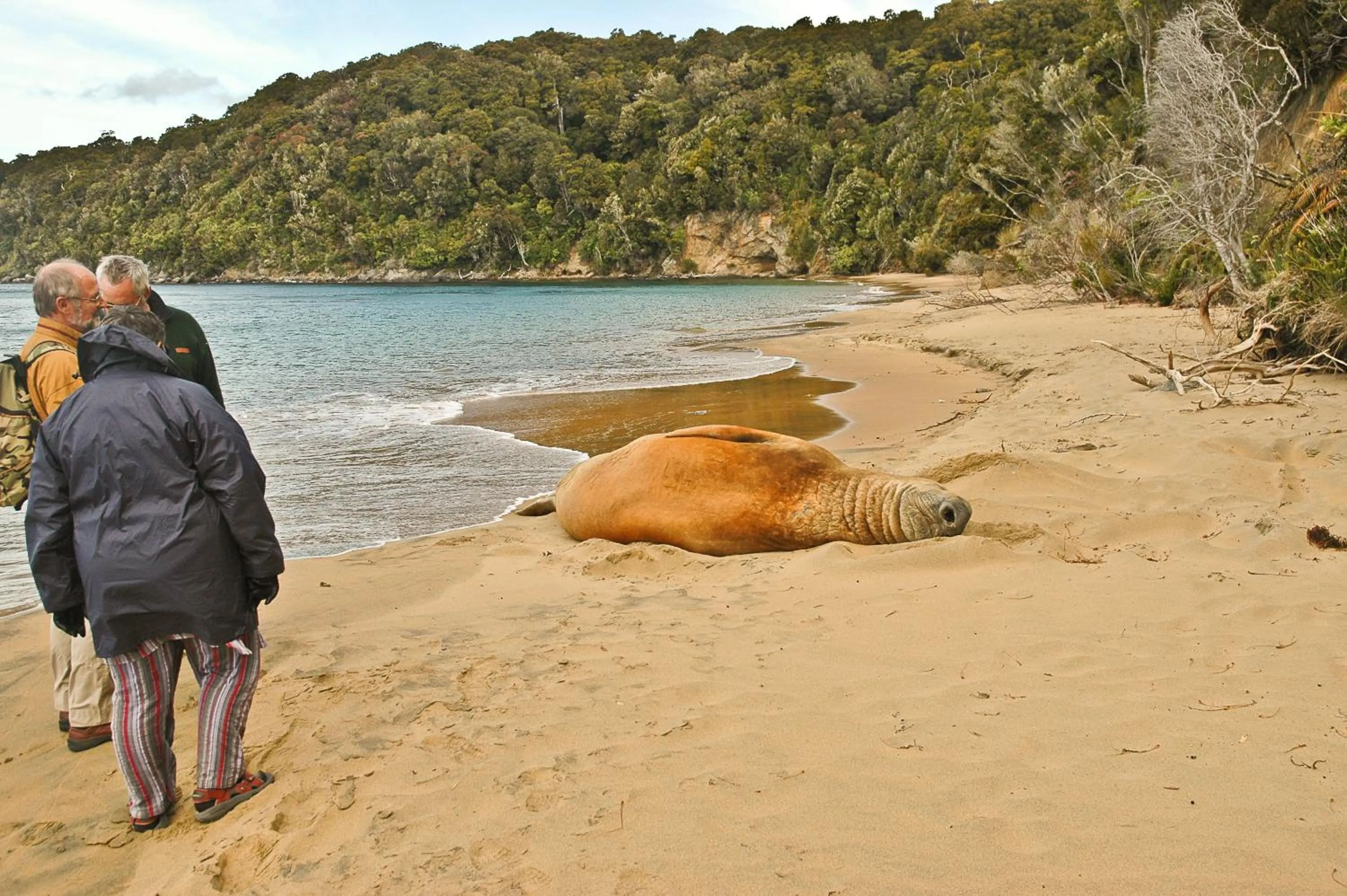 Natural landscape in Kowhai Lane Lodge