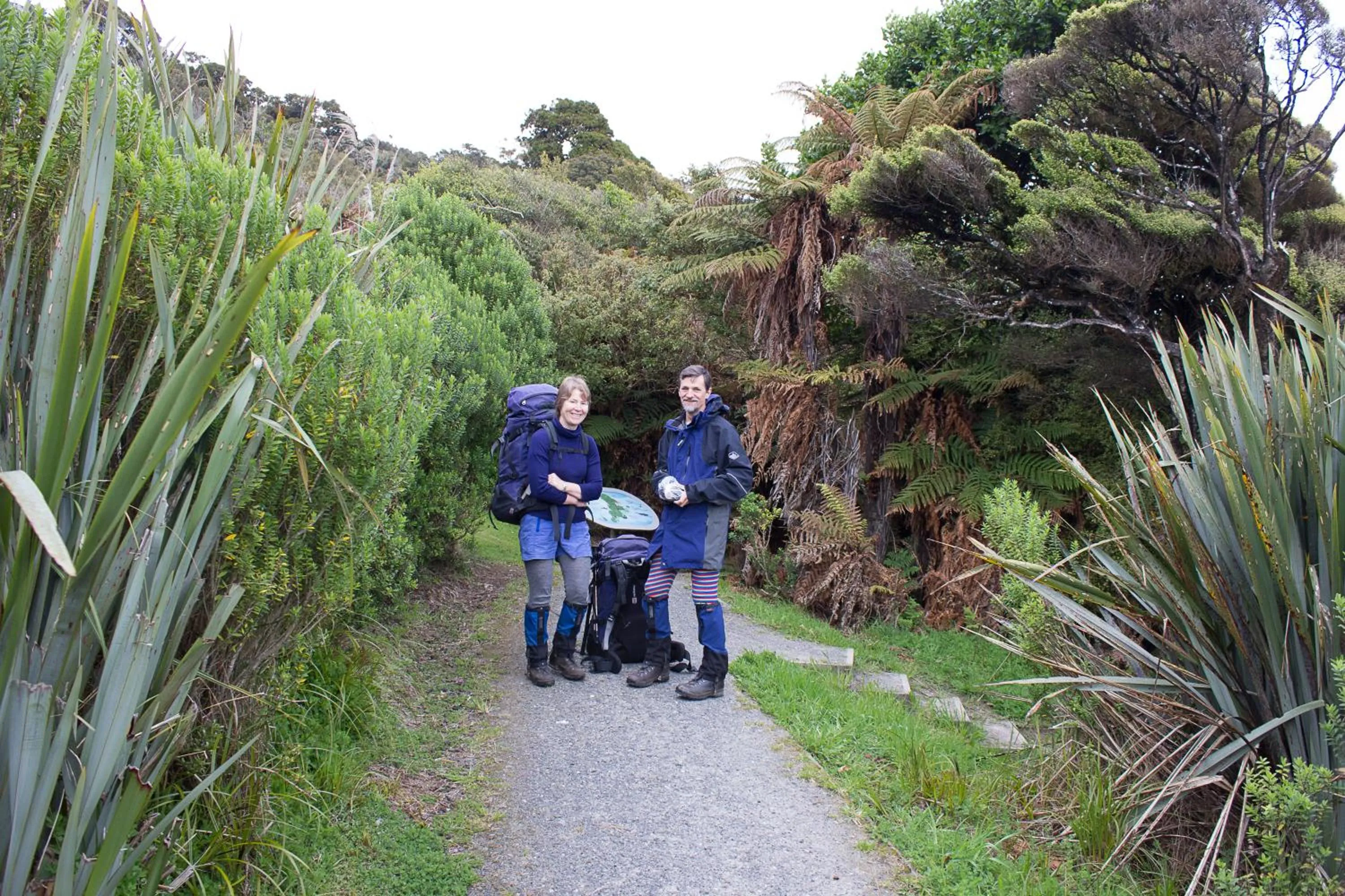 Hiking in Kowhai Lane Lodge