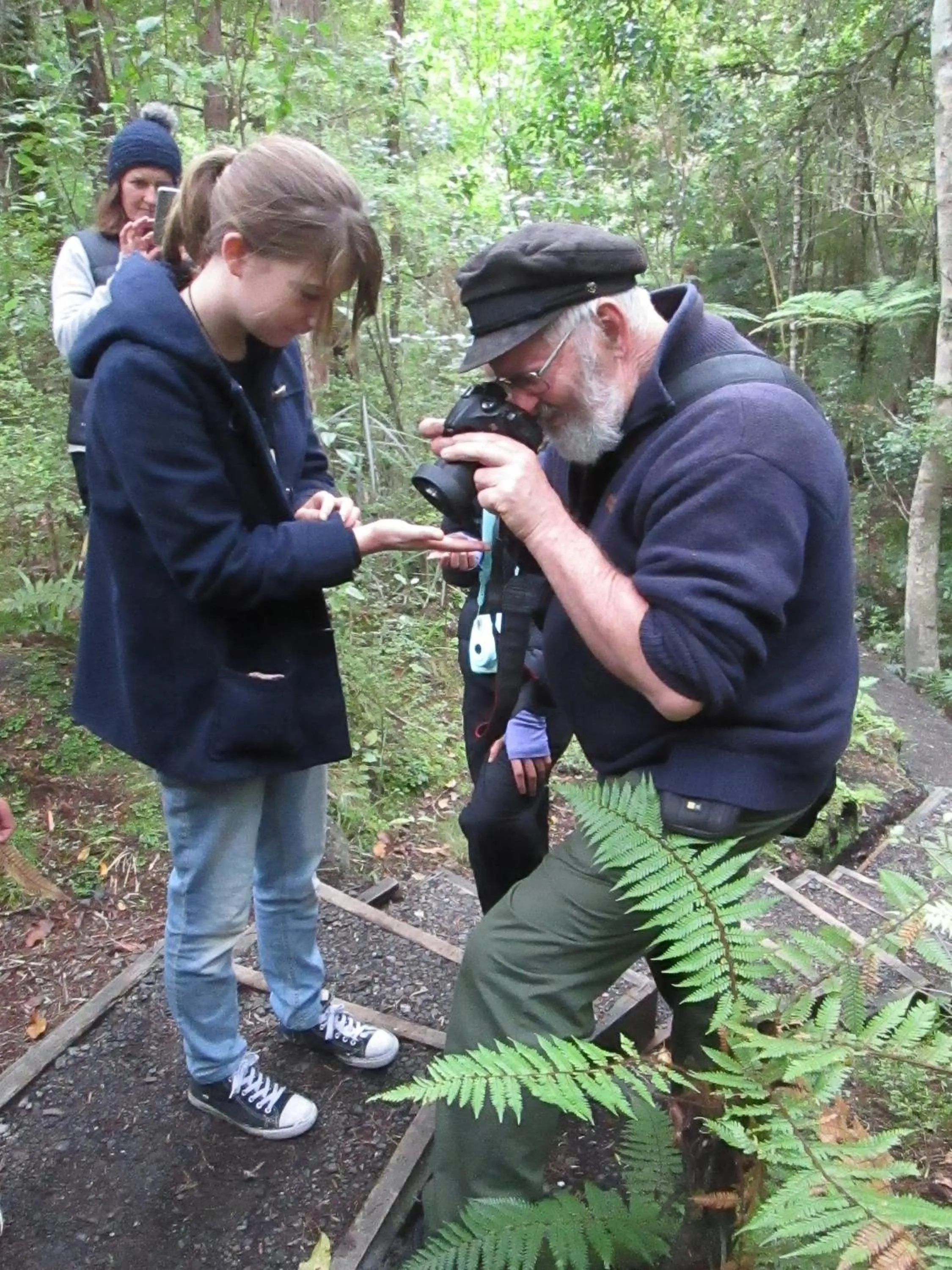 Natural landscape in Kowhai Lane Lodge