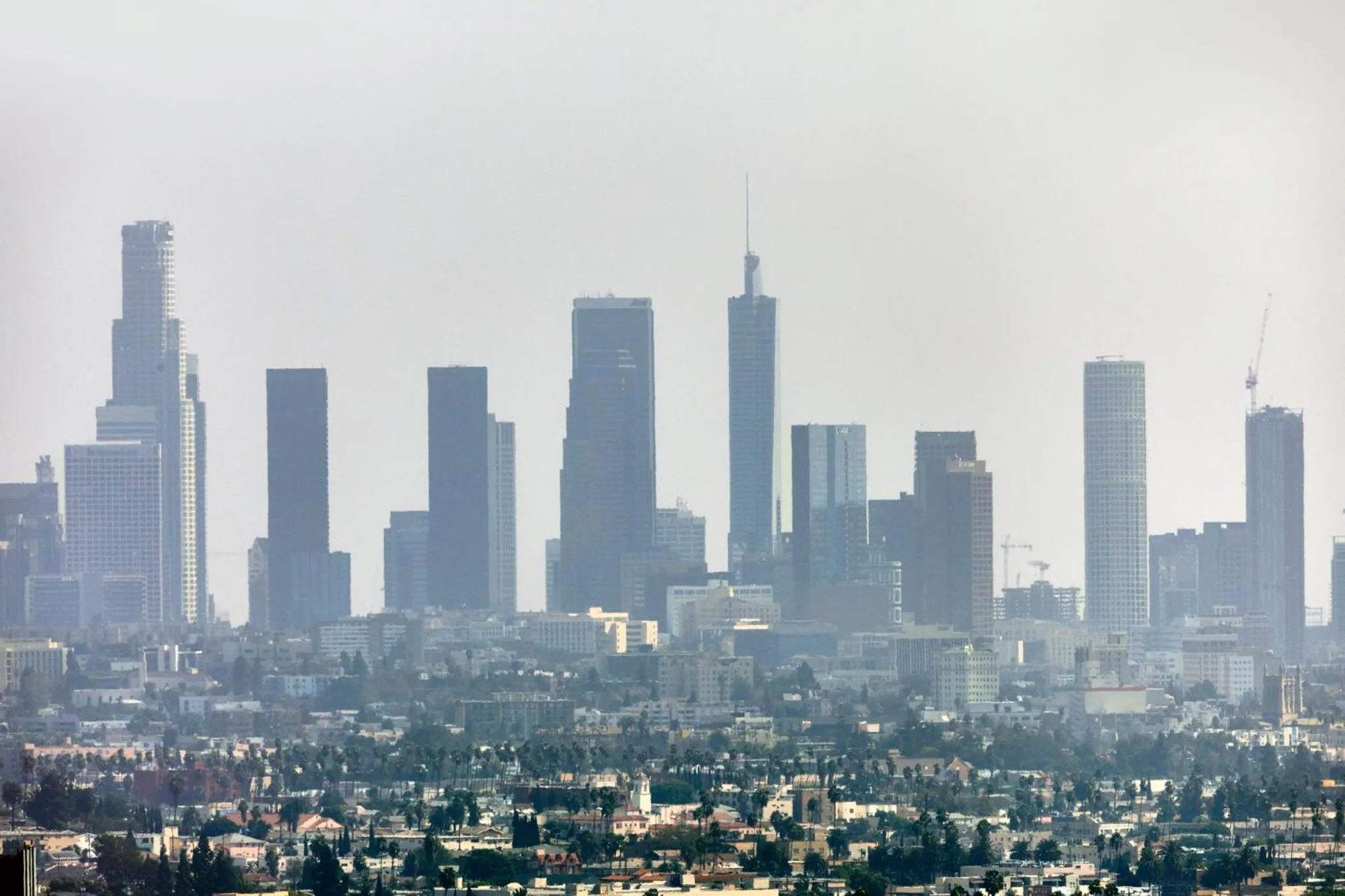 Photo of the whole room in Loews Hollywood Hotel